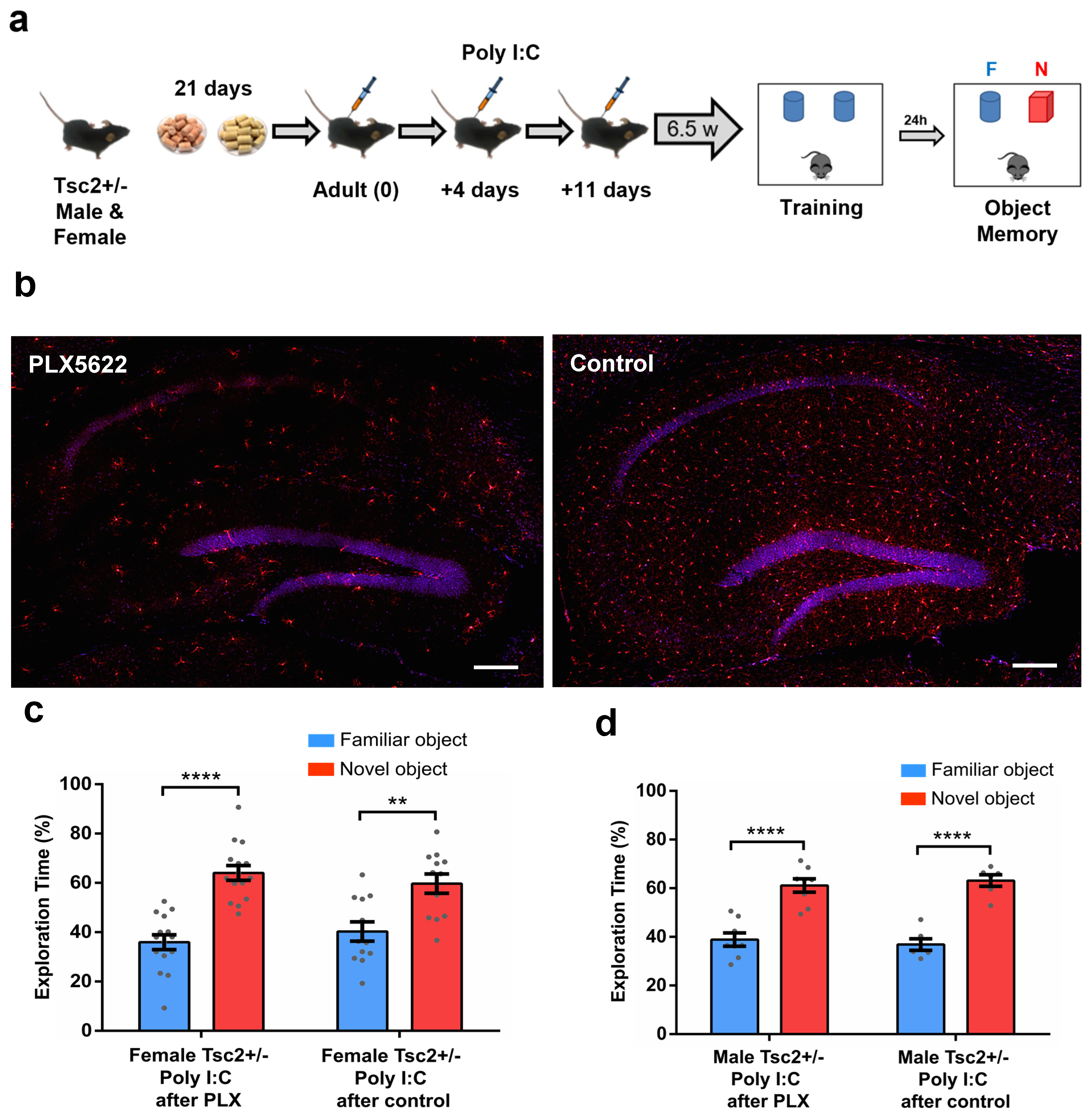 Biomedicines 12 00203 g003