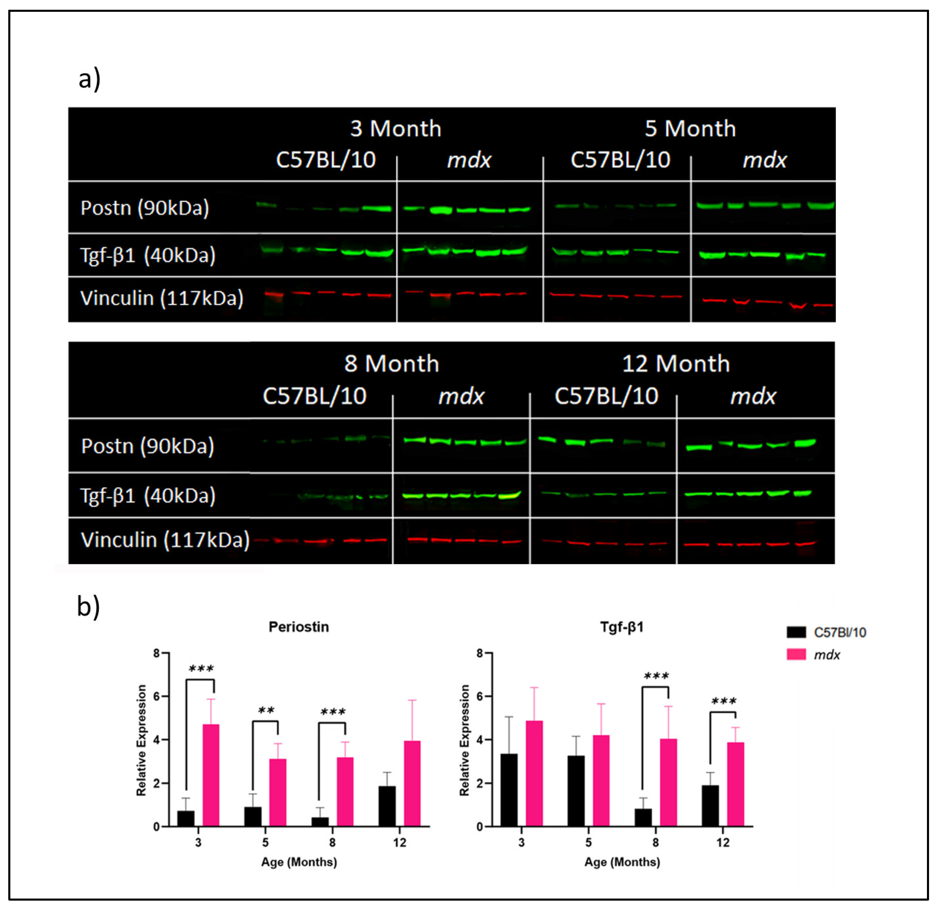 Biomedicines 12 00216 g002