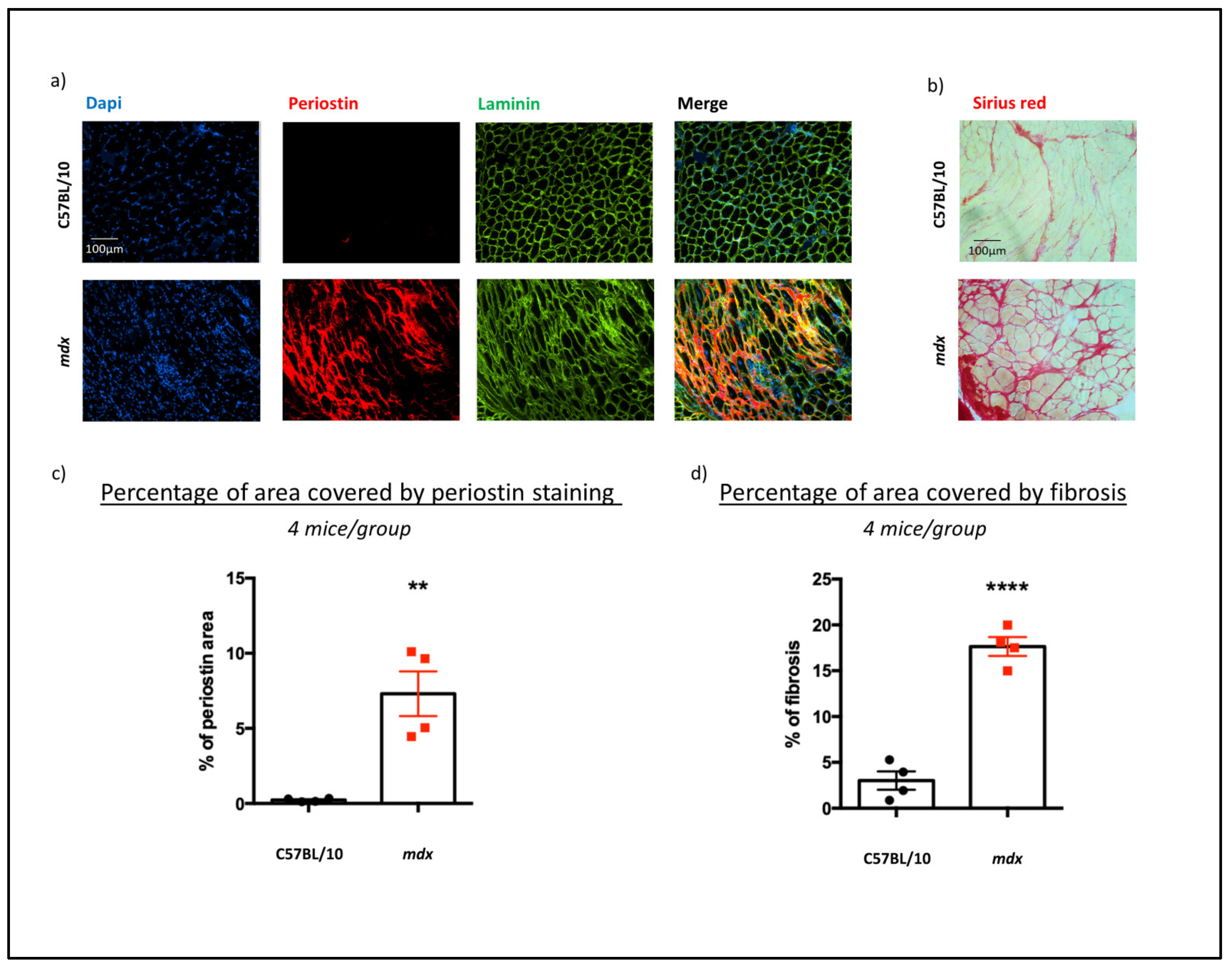 Biomedicines 12 00216 g003