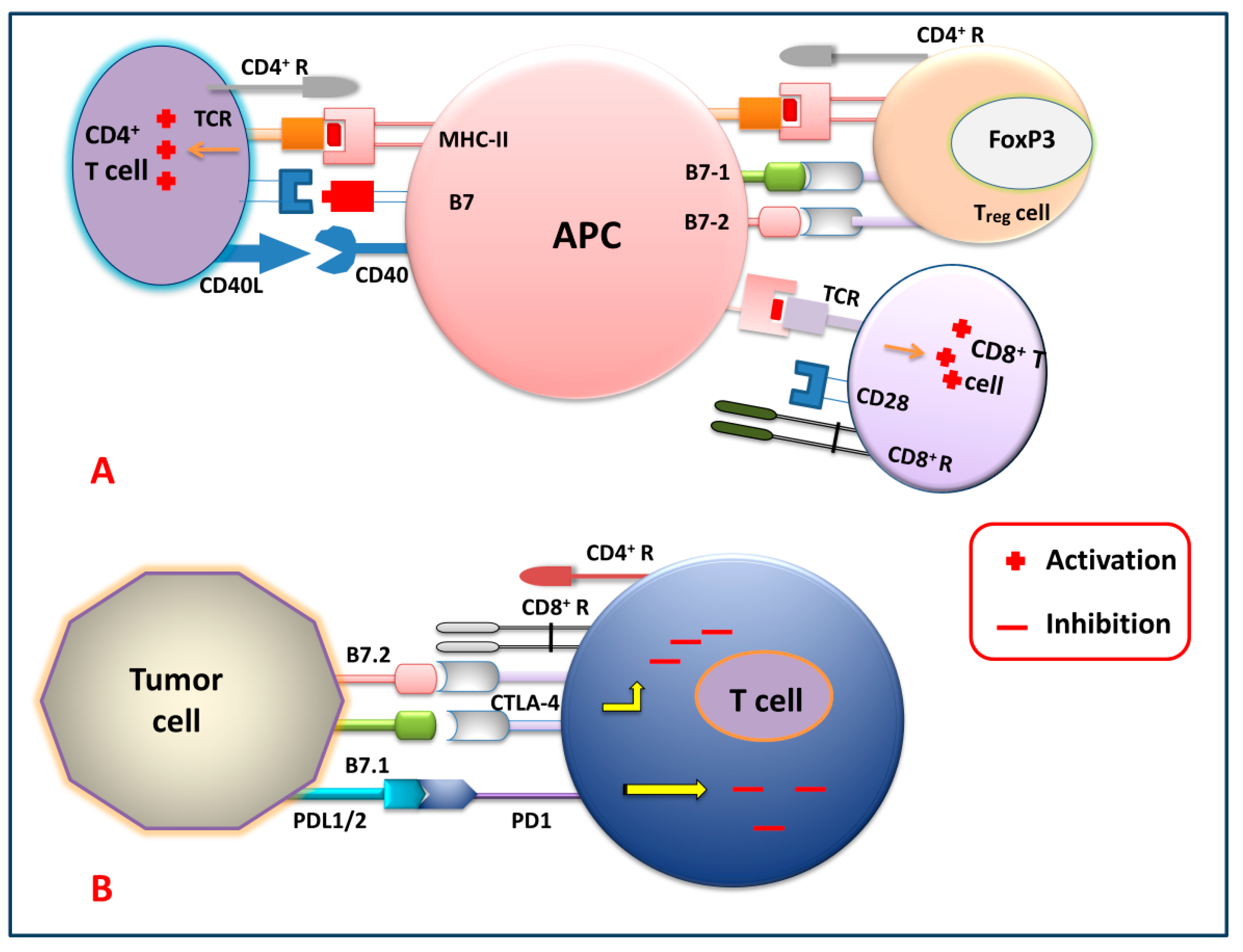 Biomedicines 12 00217 g002