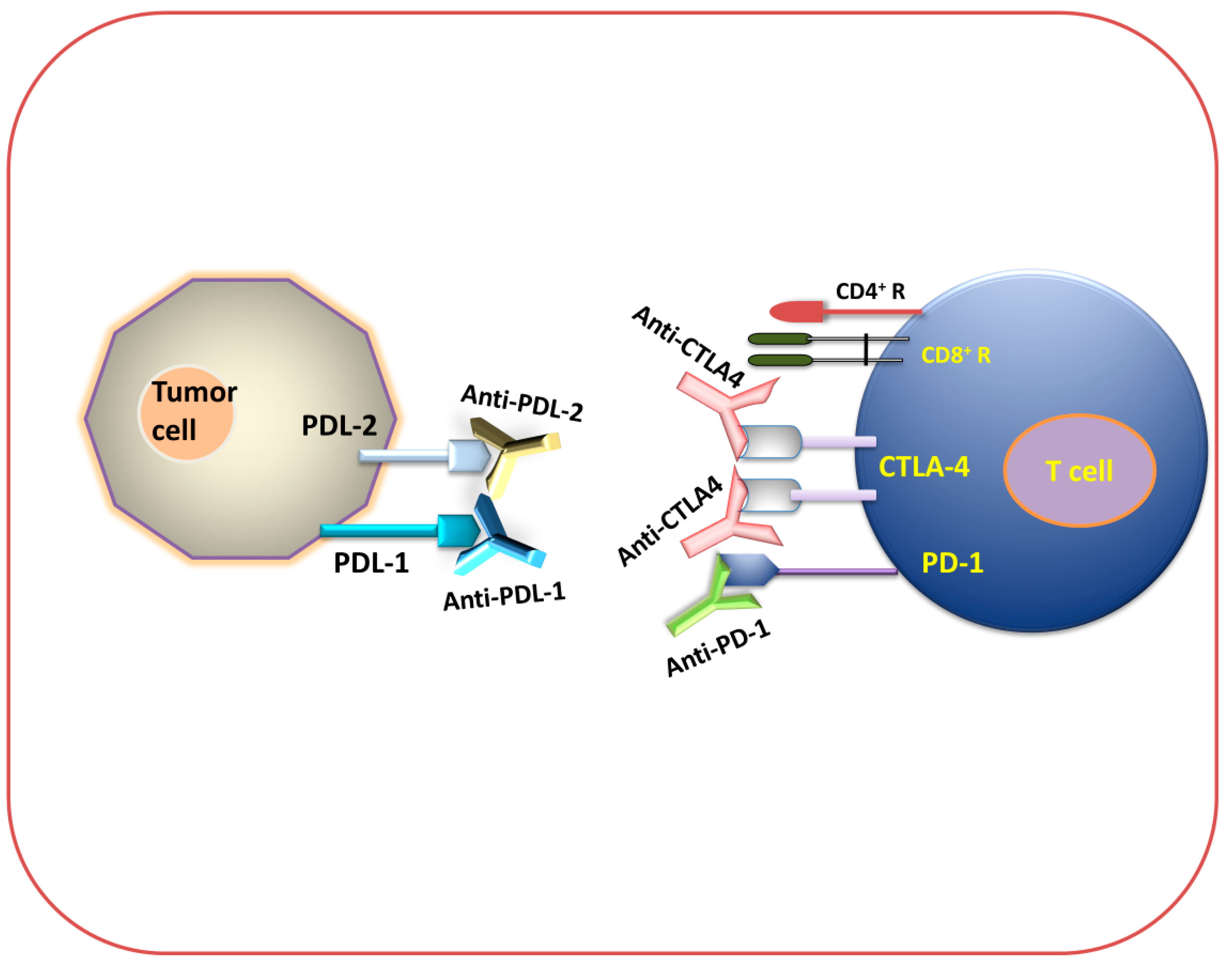 Biomedicines 12 00217 g003