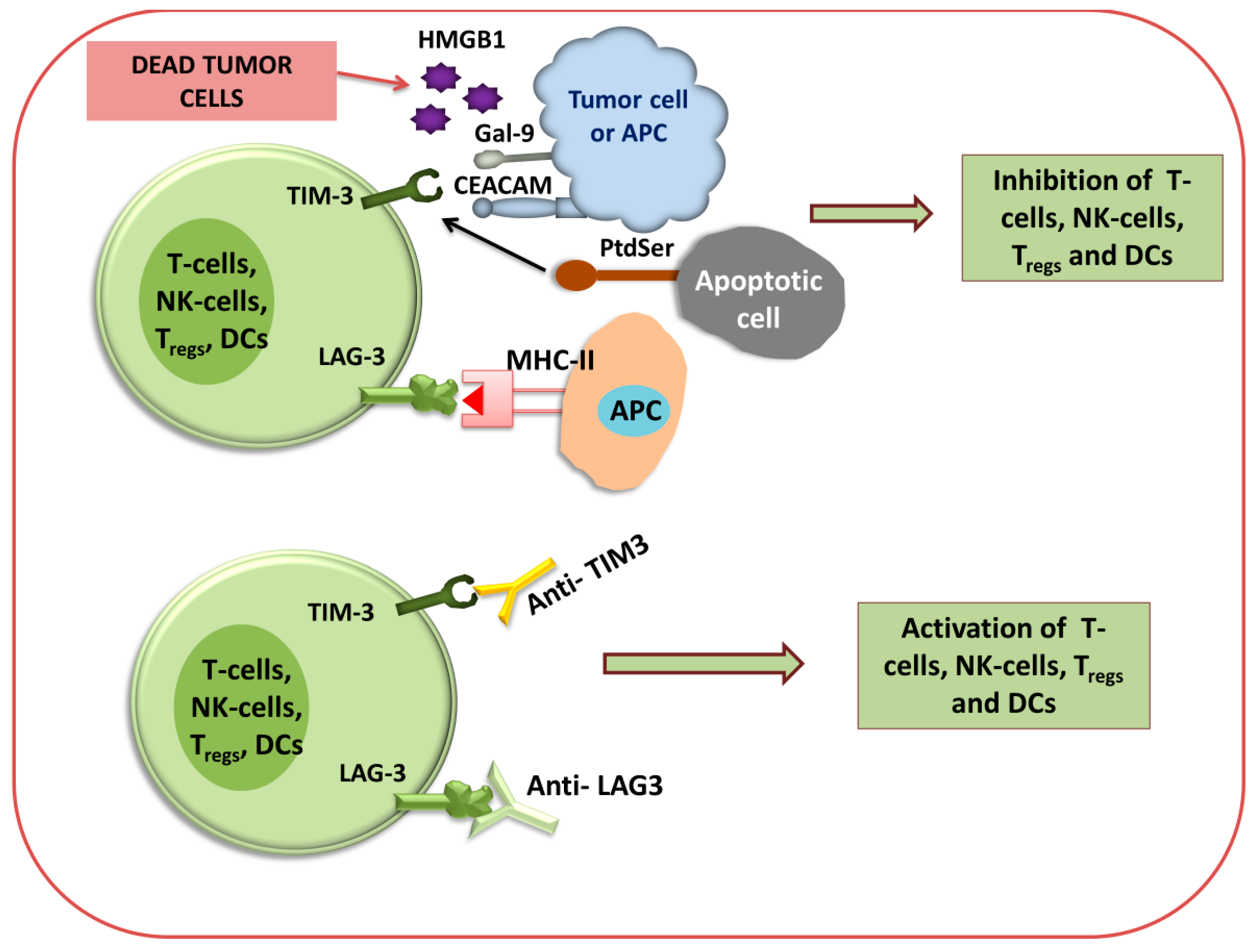 Biomedicines 12 00217 g004