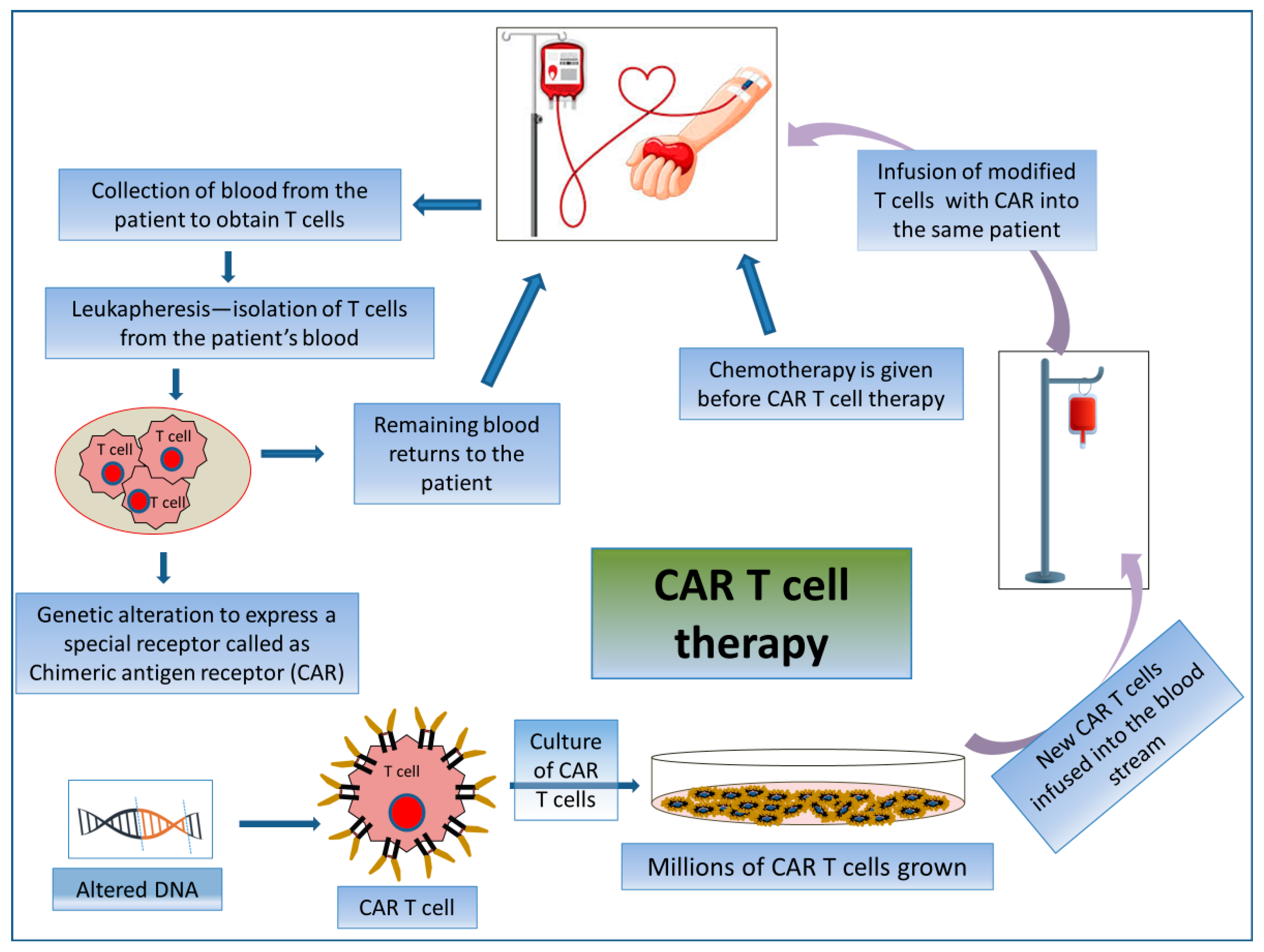 Biomedicines 12 00217 g005