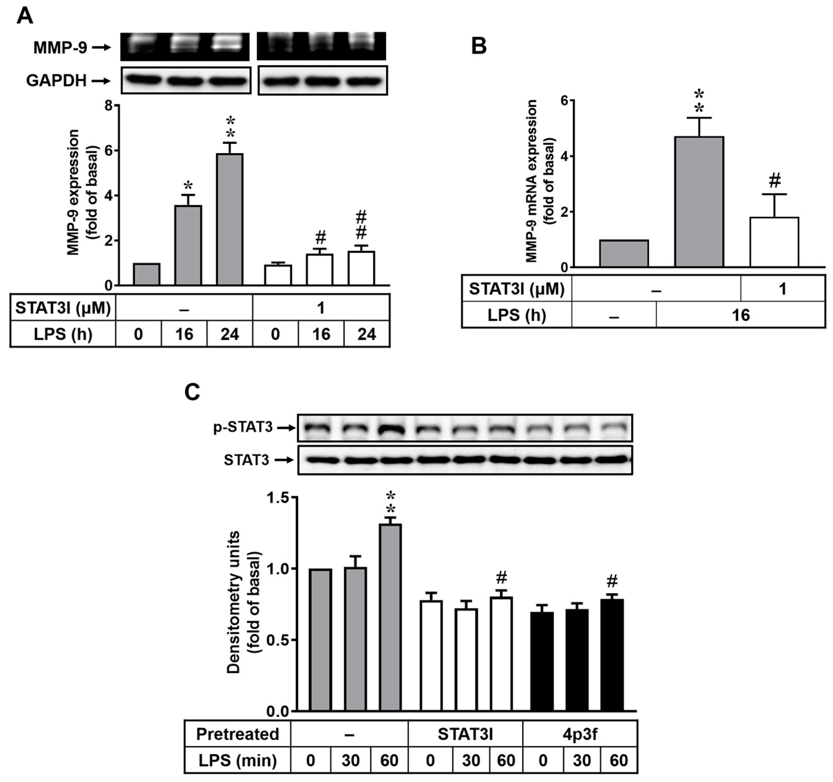Biomedicines 12 00226 g004