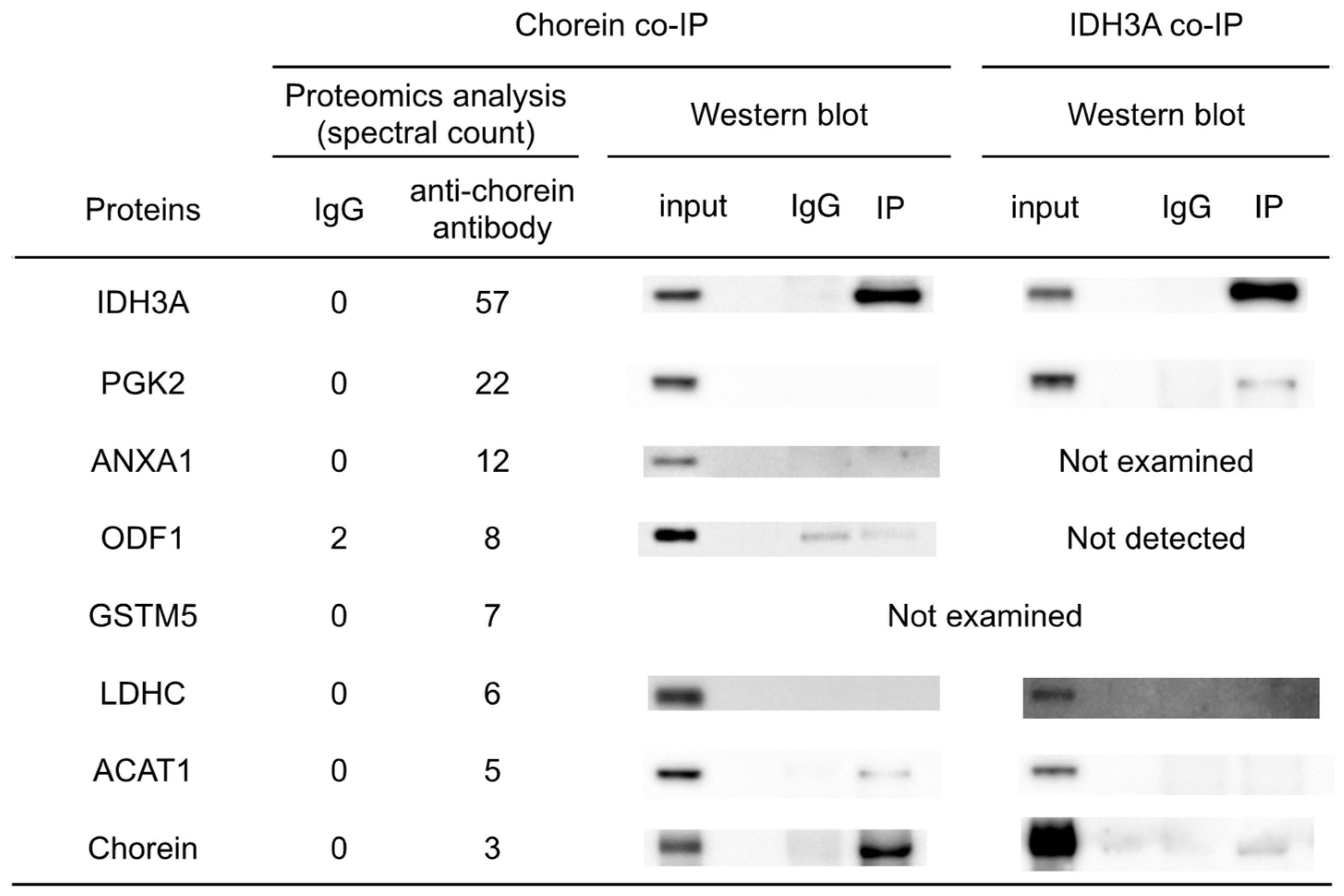 Biomedicines 12 00240 g002