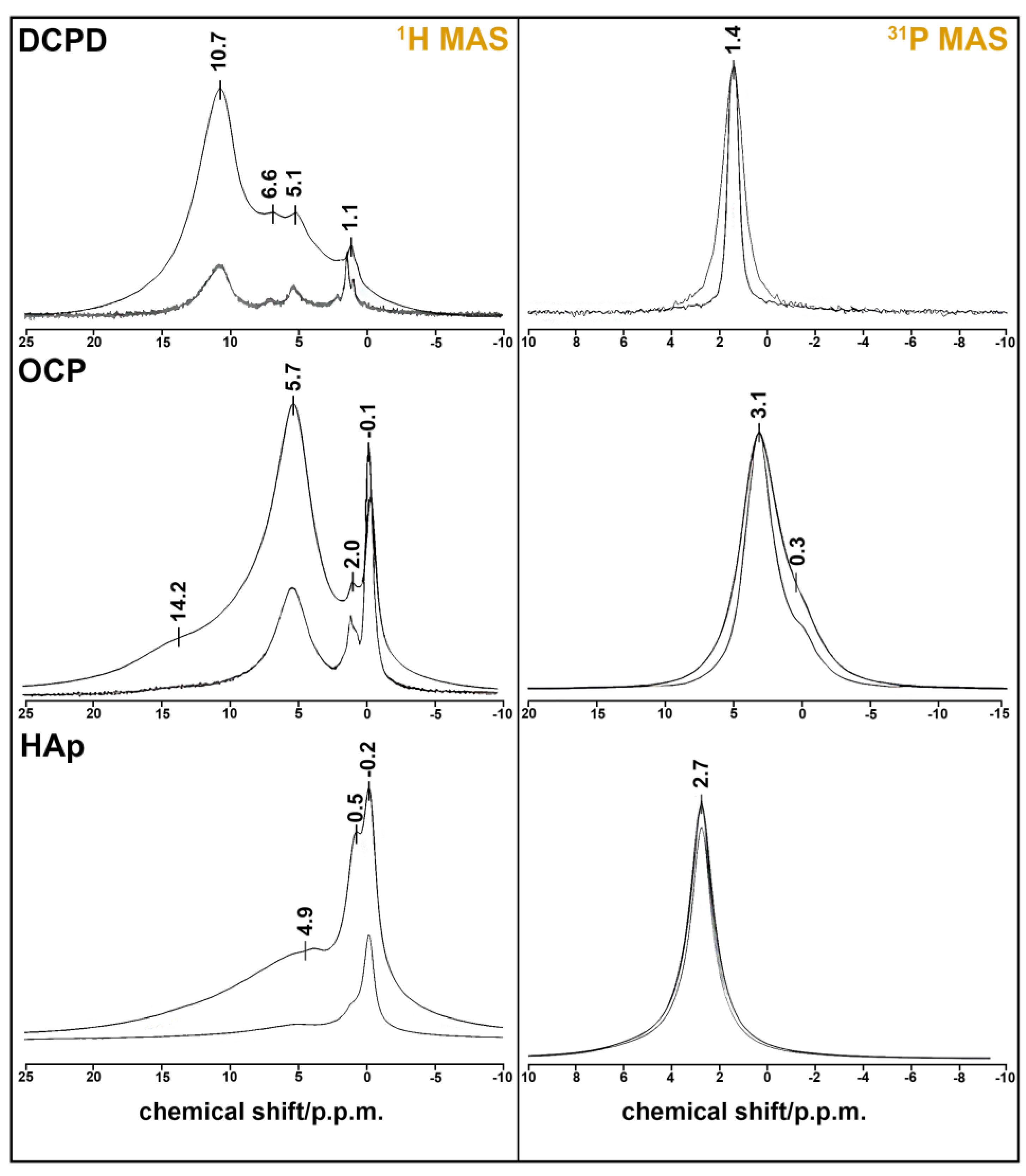 Biomedicines 12 00263 g002