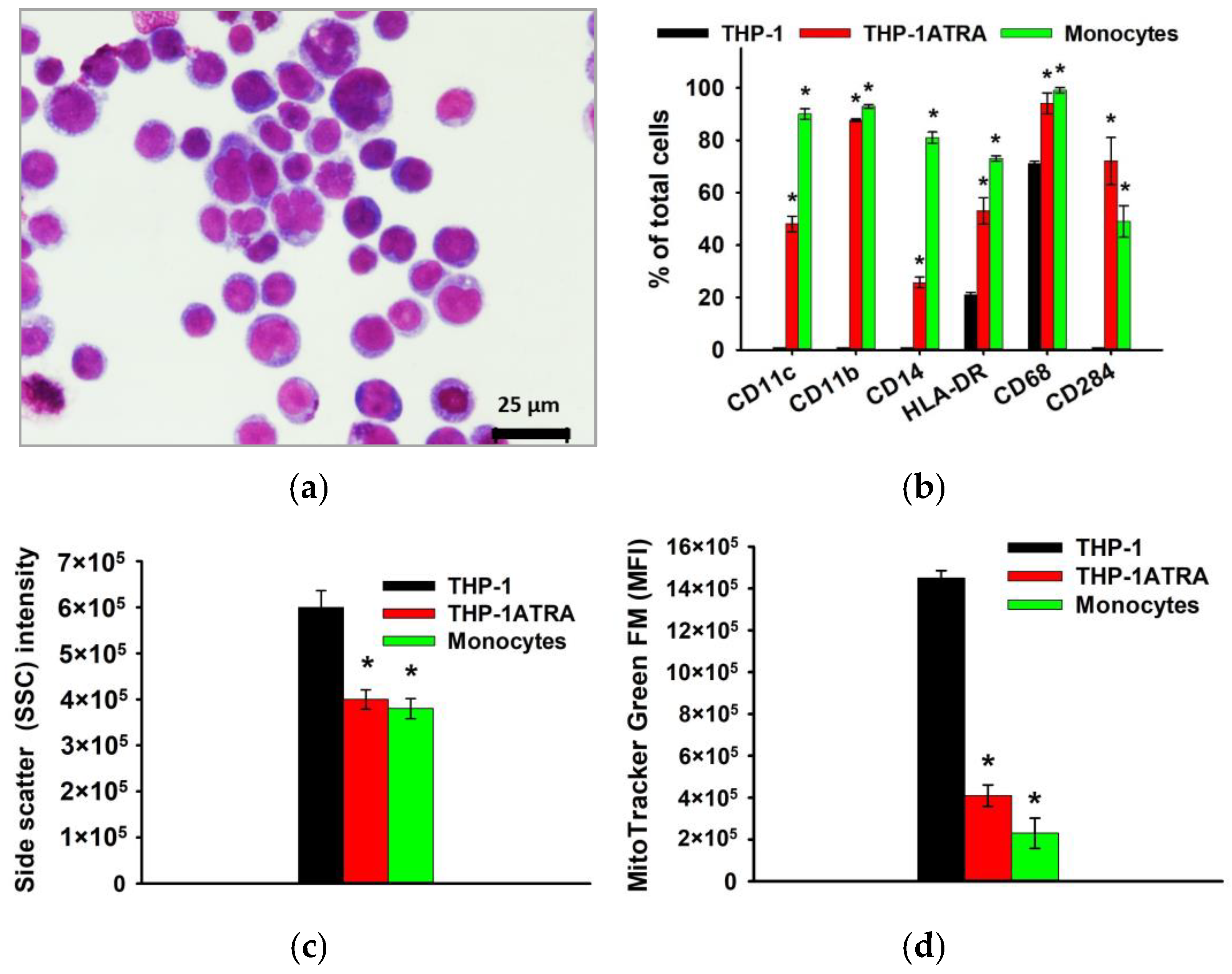 Biomedicines 12 00263 g003