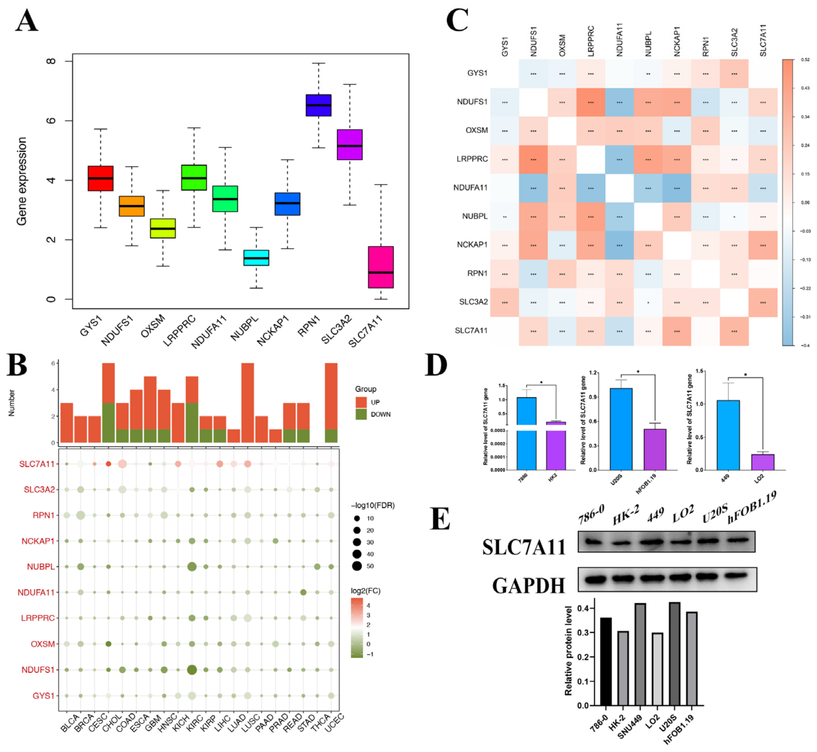 Biomedicines 12 00267 g002
