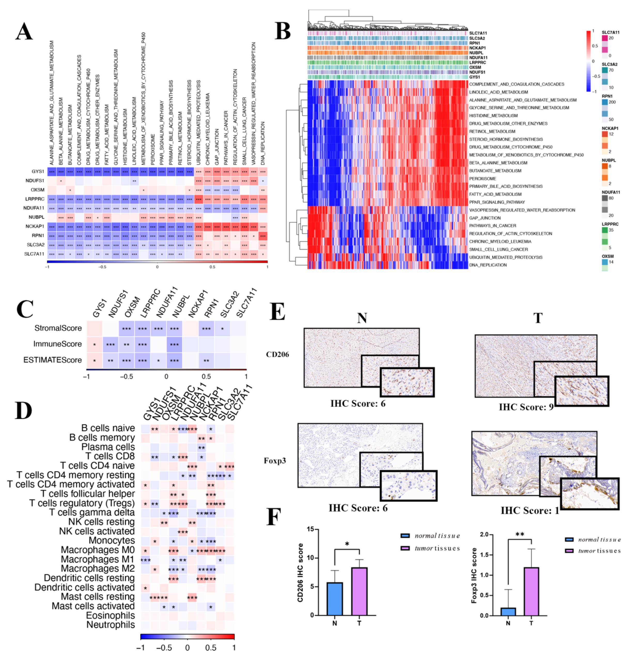 Biomedicines 12 00267 g007