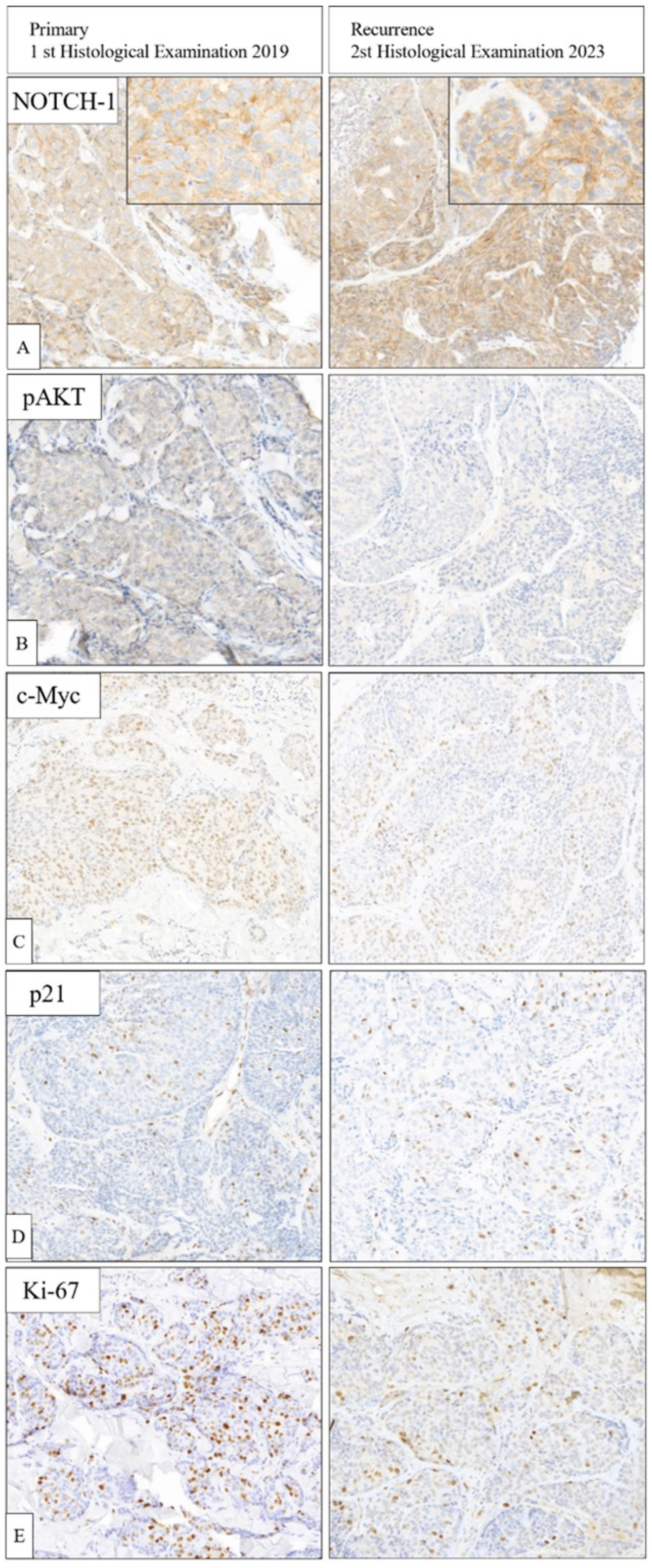 Biomedicines 12 00272 g004 Biomedicines 12 00272 g004
