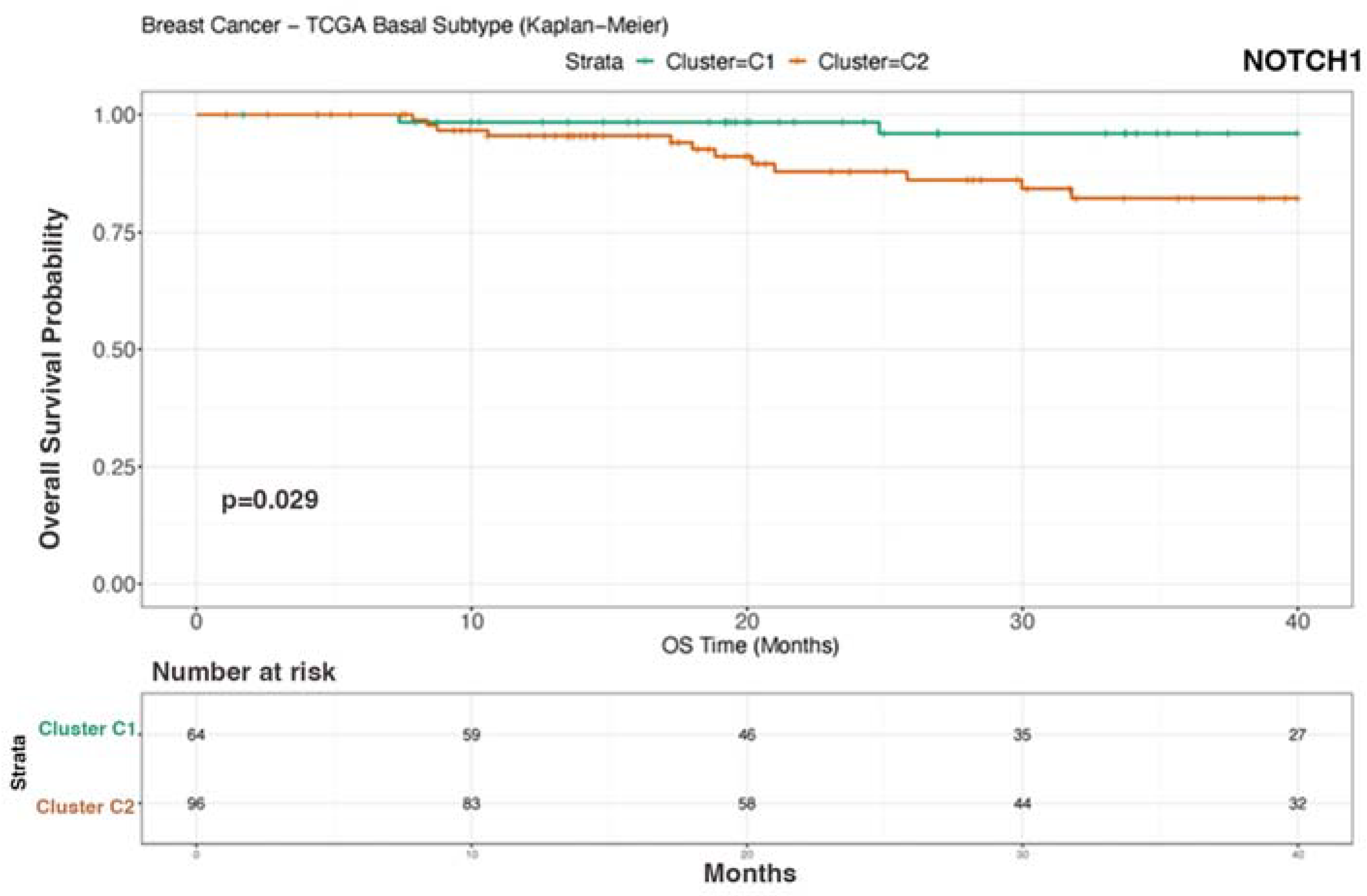 Biomedicines 12 00272 g005 Biomedicines 12 00272 g005