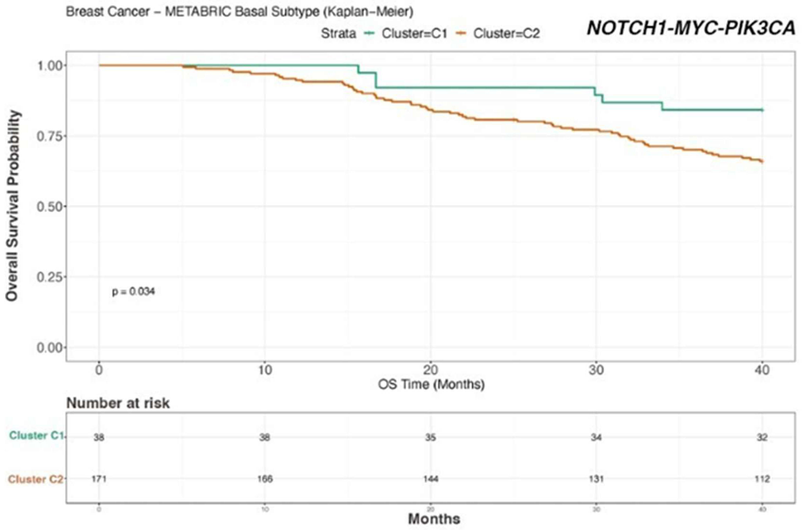Biomedicines 12 00272 g006 Biomedicines 12 00272 g006