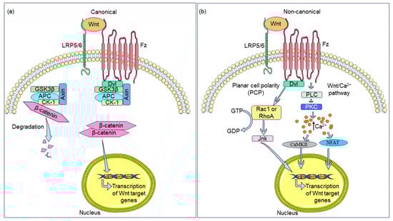 Biomedicines 12 00276 g001