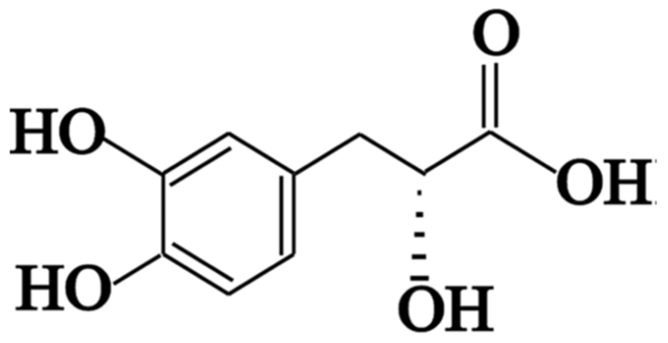 Biomedicines 12 00279 g001