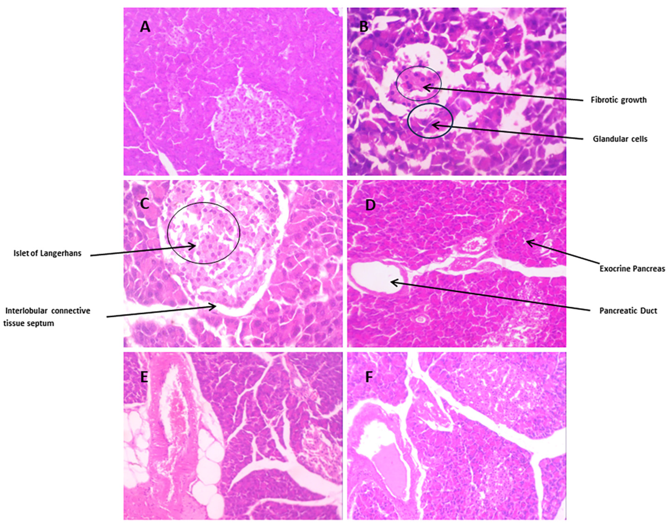 Biomedicines 12 00279 g009