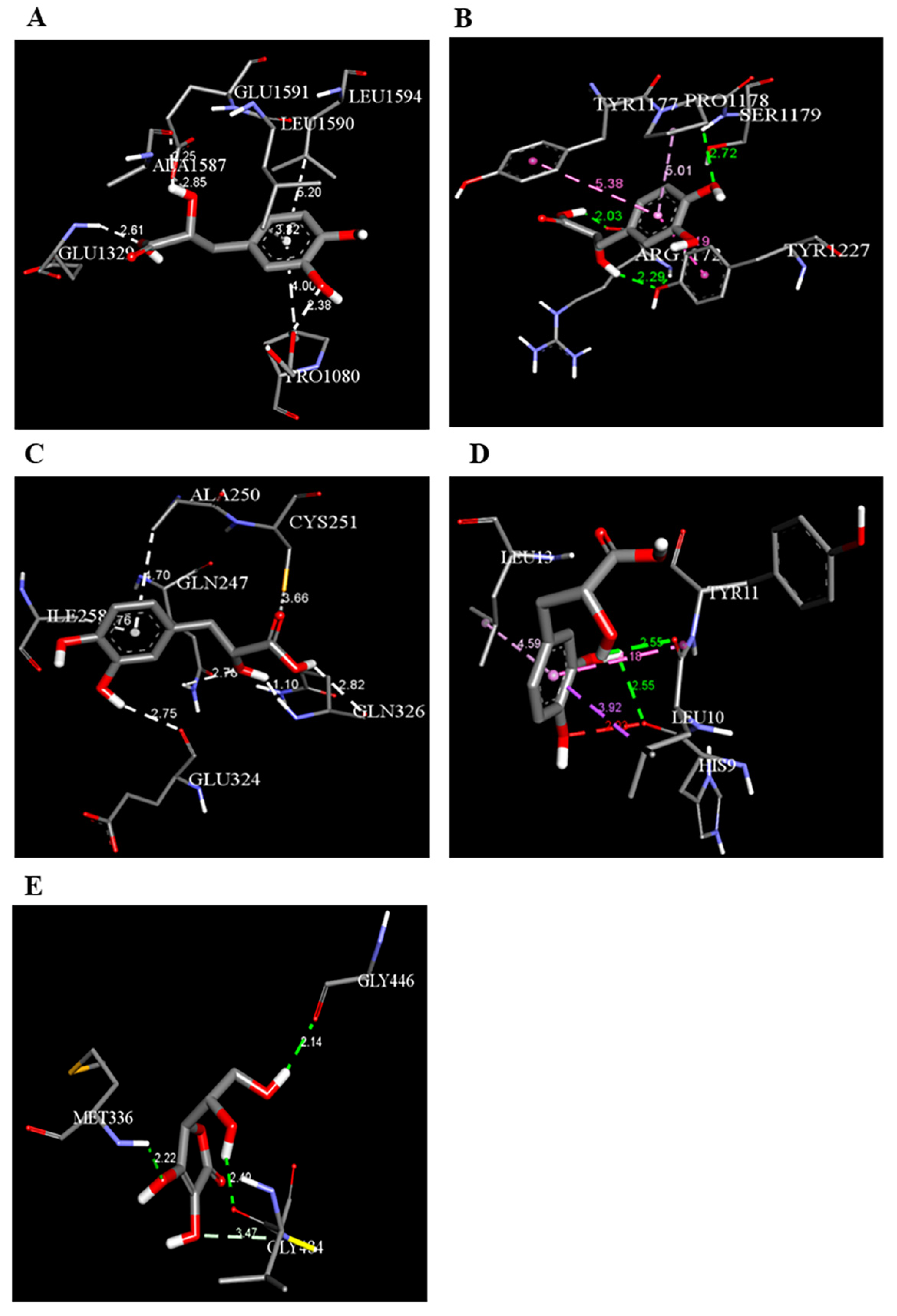 Biomedicines 12 00279 g012