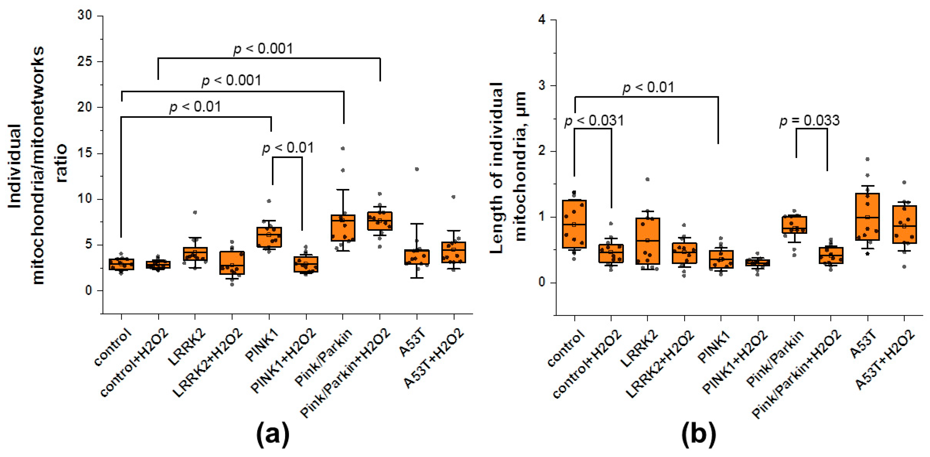 Biomedicines 12 00282 g004