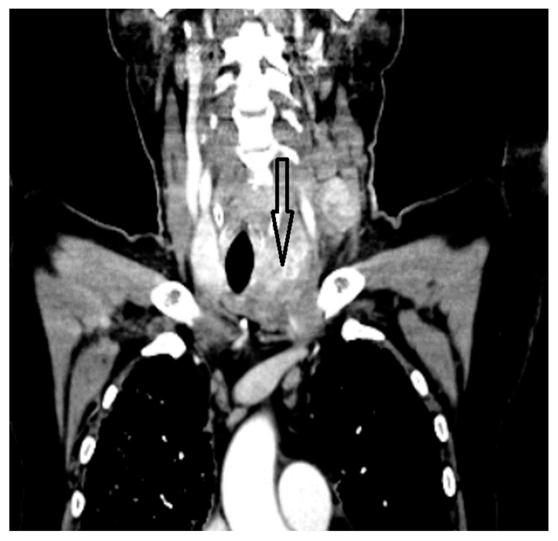 Biomedicines 12 00285 g002 Biomedicines 12 00285 g002