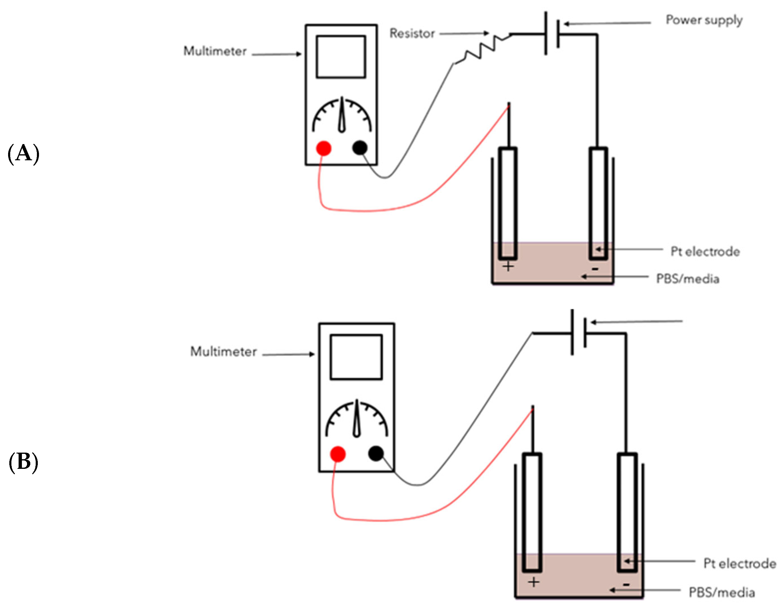 Biomedicines 12 00289 g001