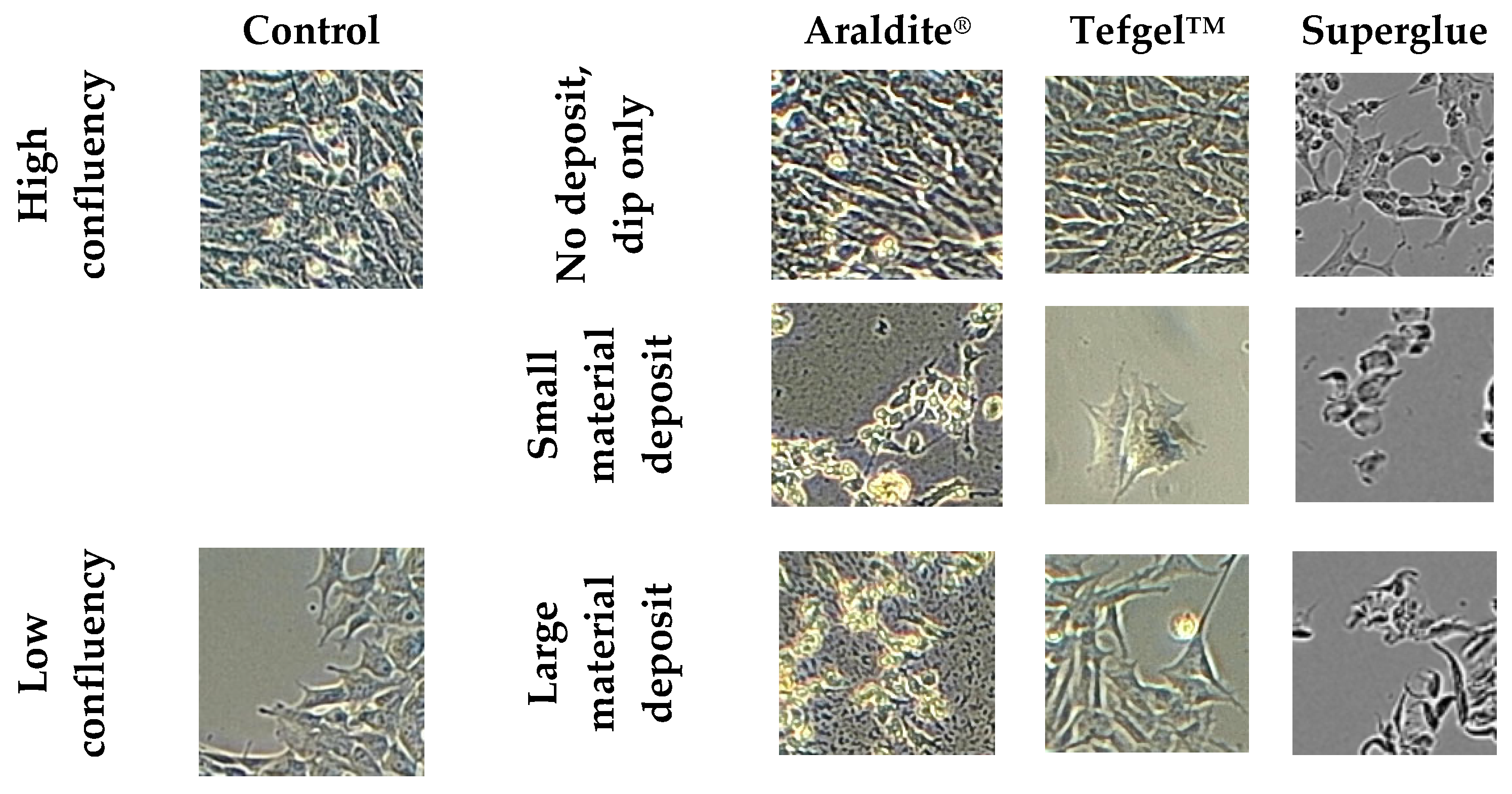 Biomedicines 12 00289 g003