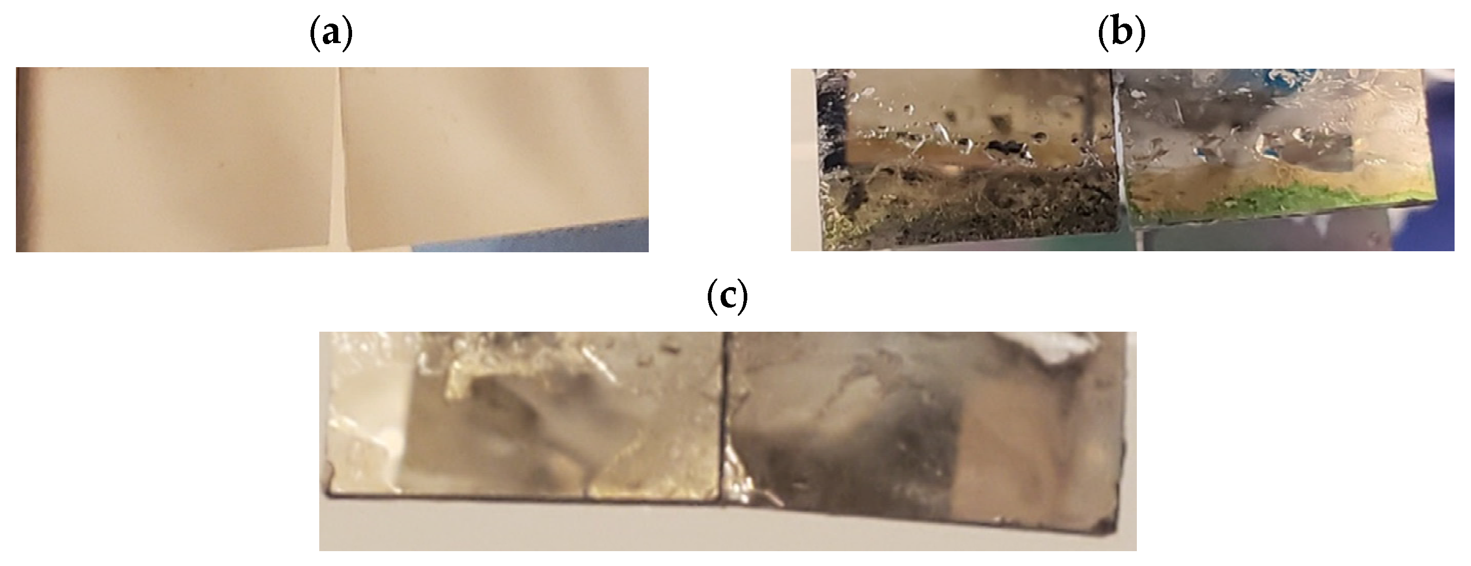 Biomedicines 12 00289 g008