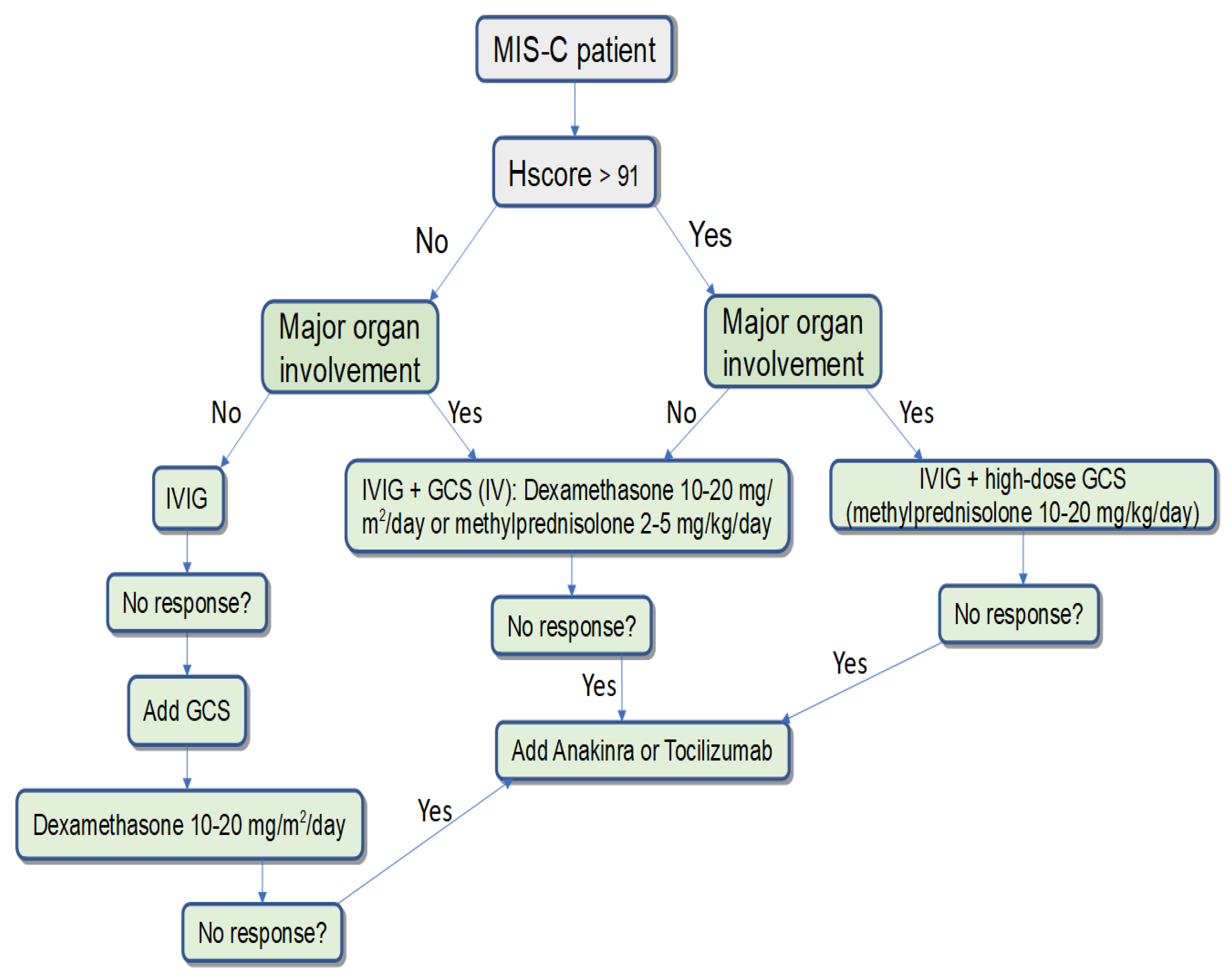 Biomedicines 12 00294 g001
