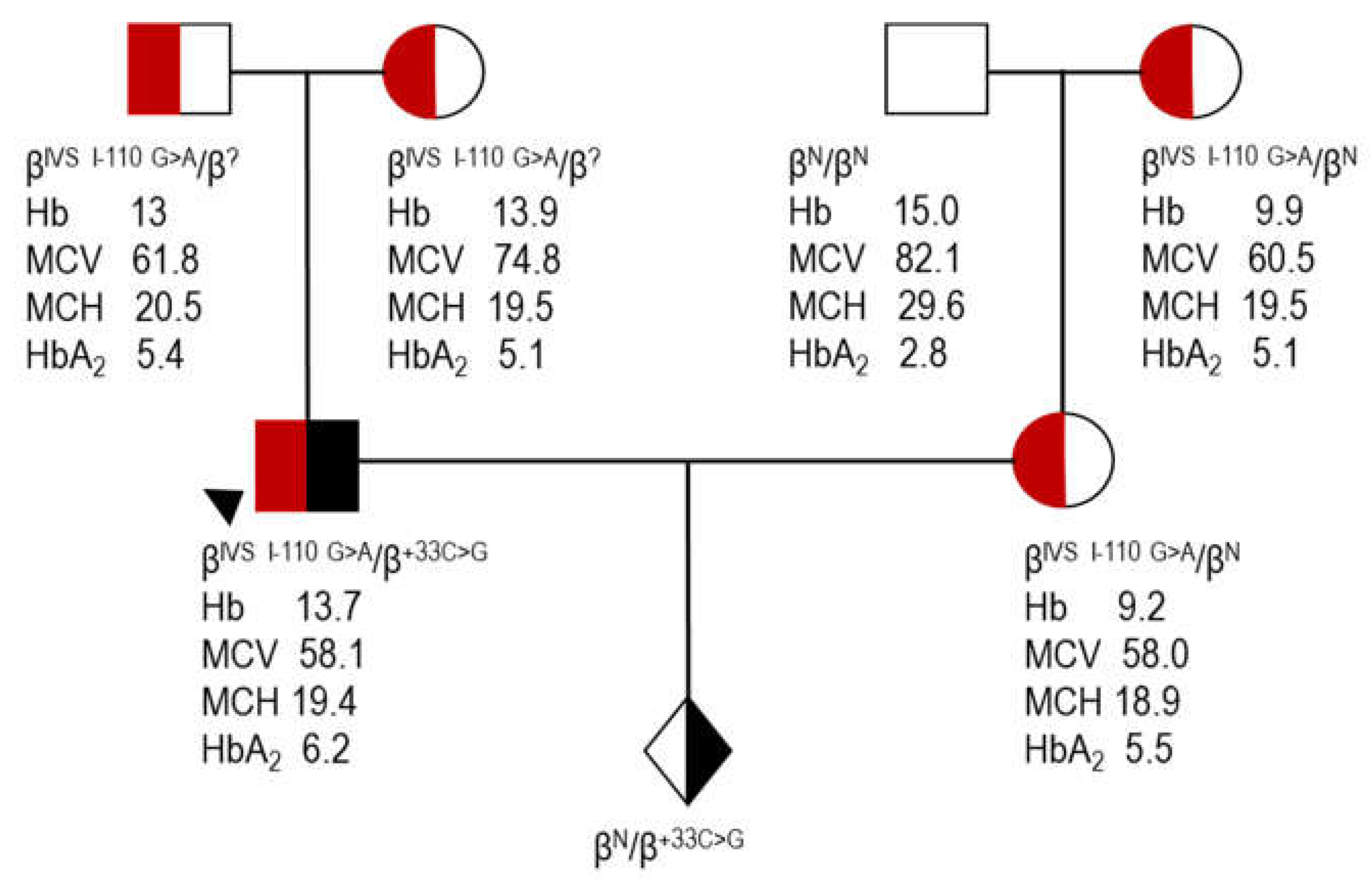 Biomedicines 12 00296 g001