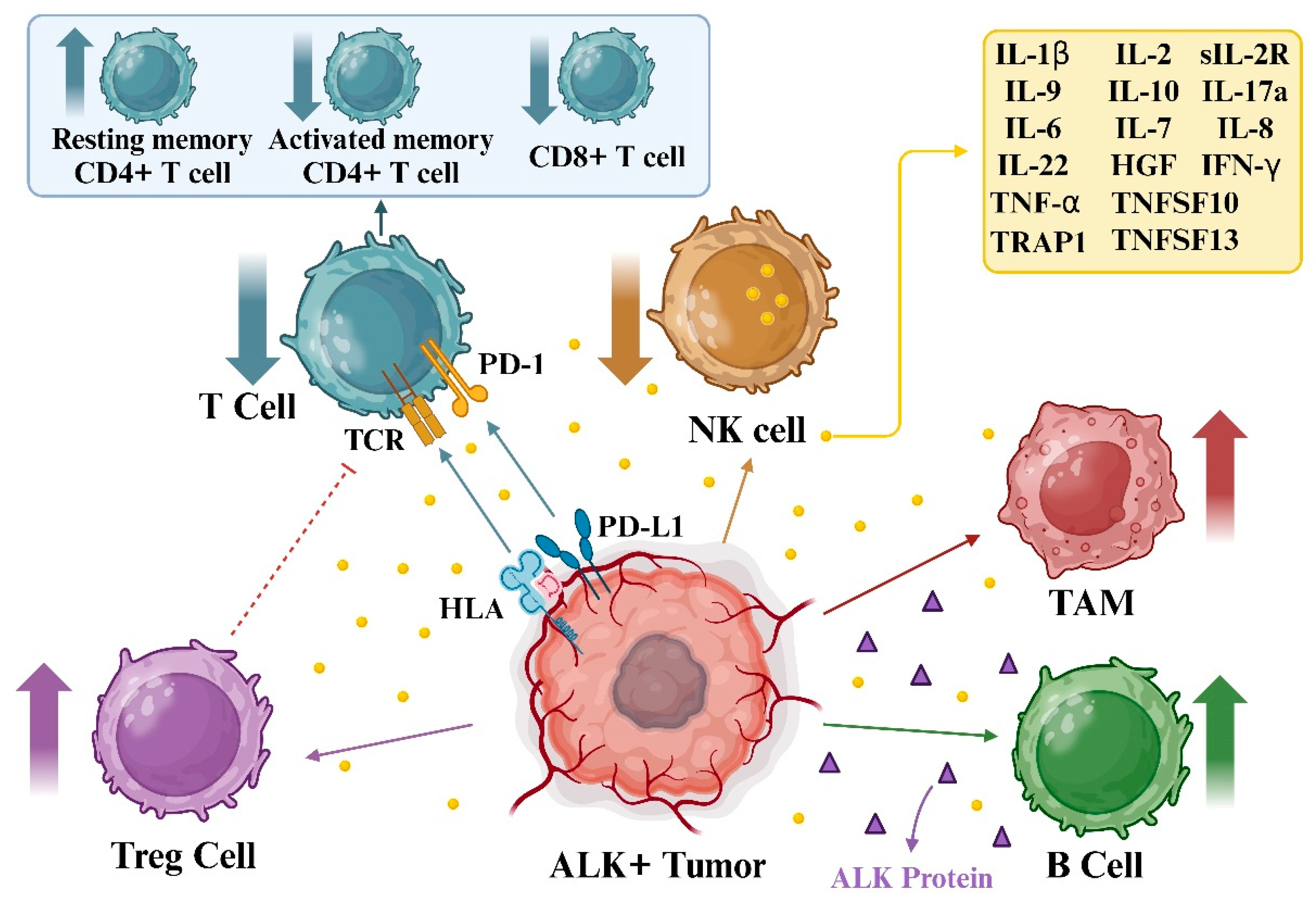 Biomedicines 12 00297 g006
