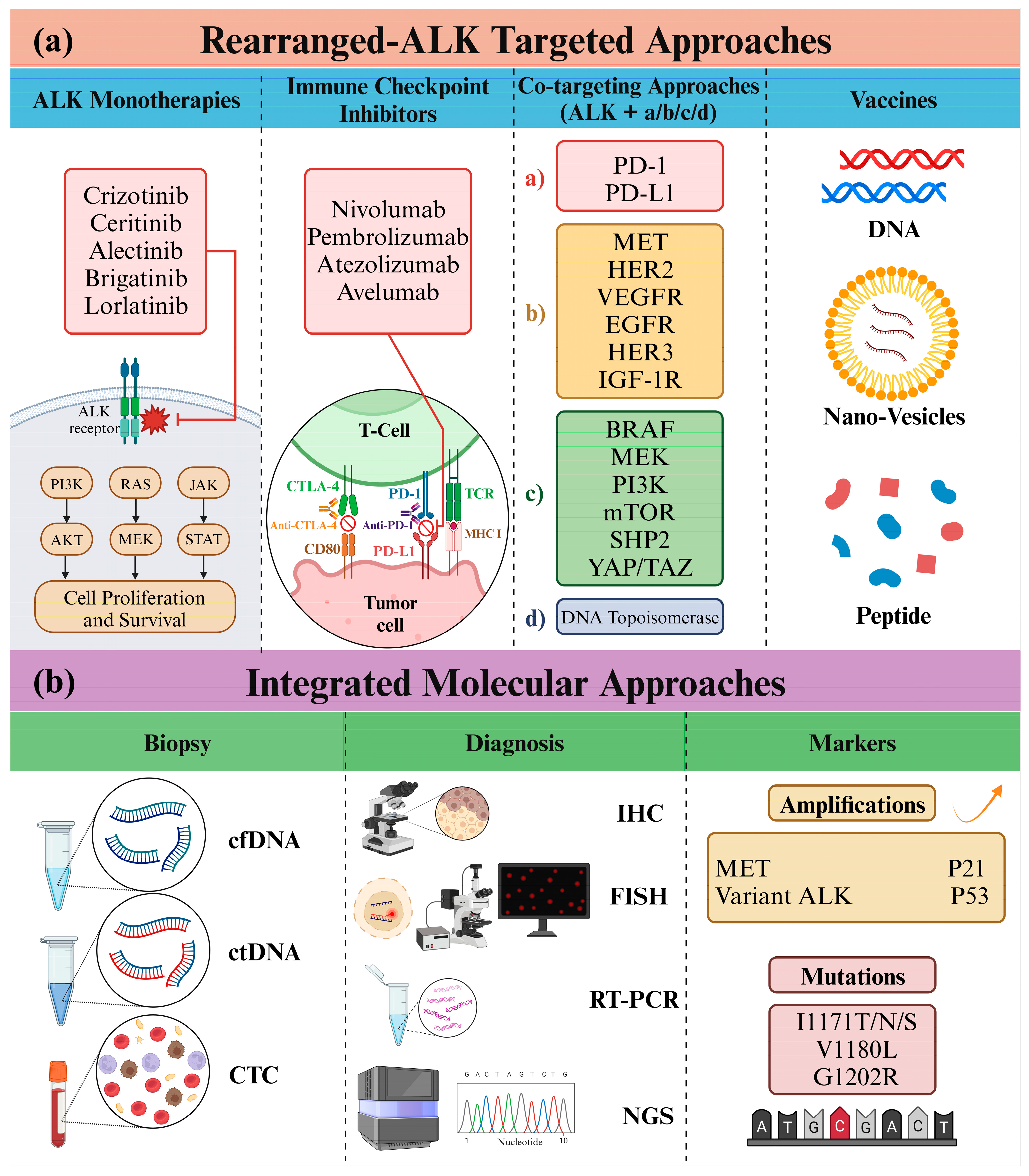 Biomedicines 12 00297 g007