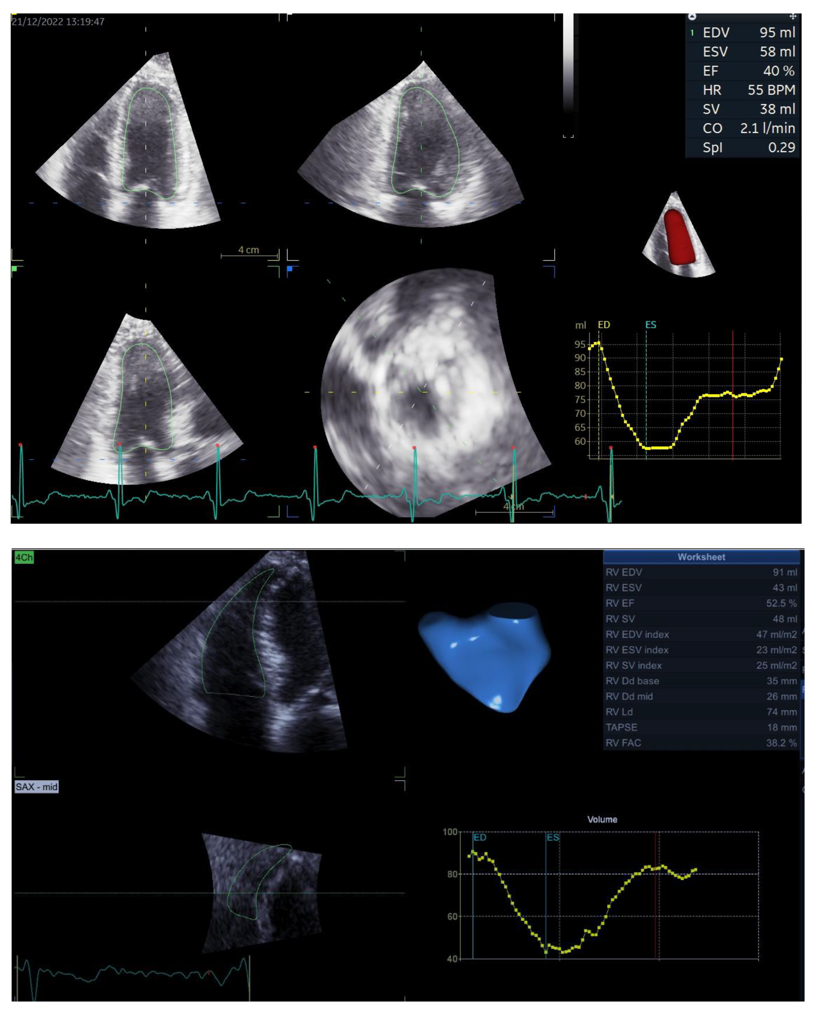 Biomedicines 12 00302 g001a