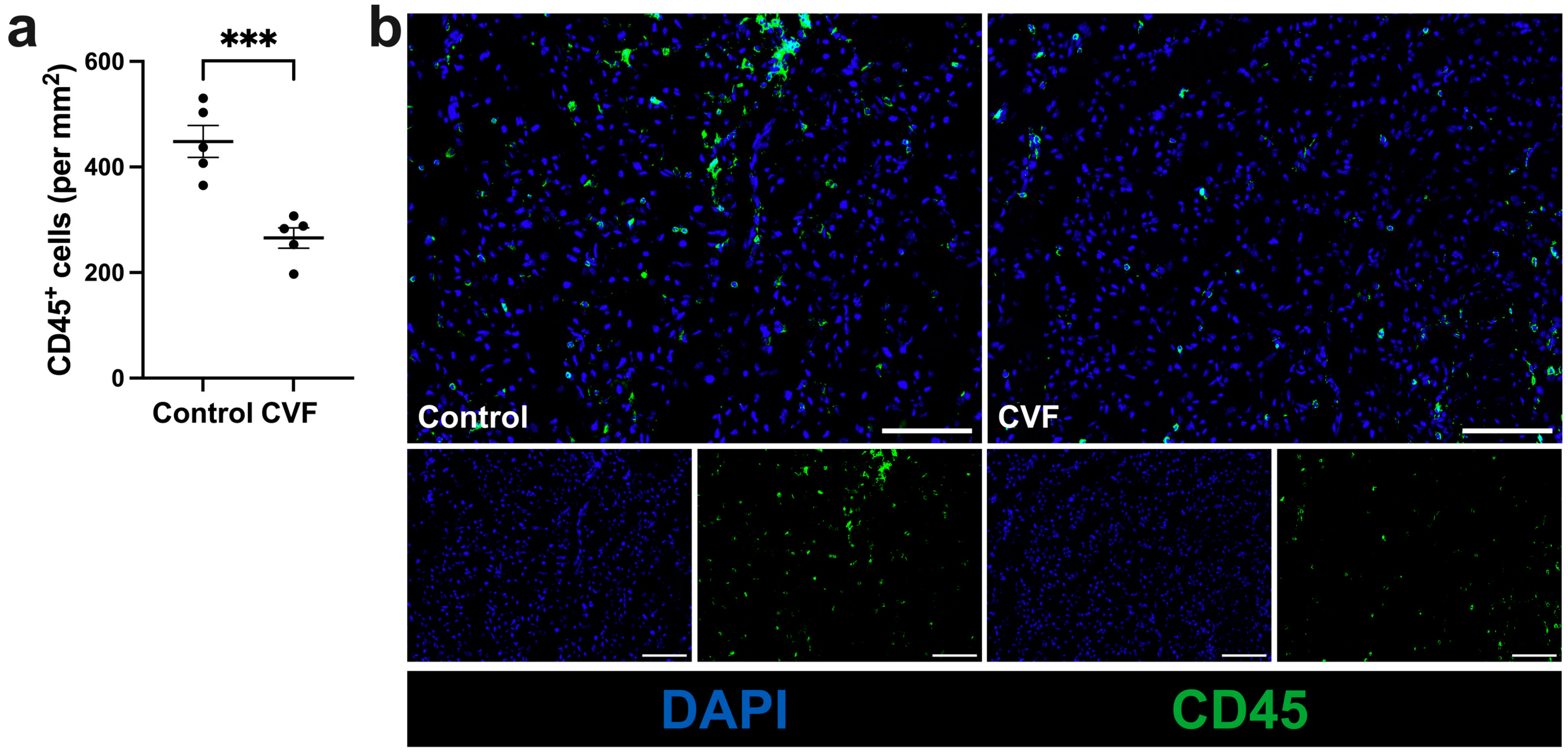 Biomedicines 12 00309 g004