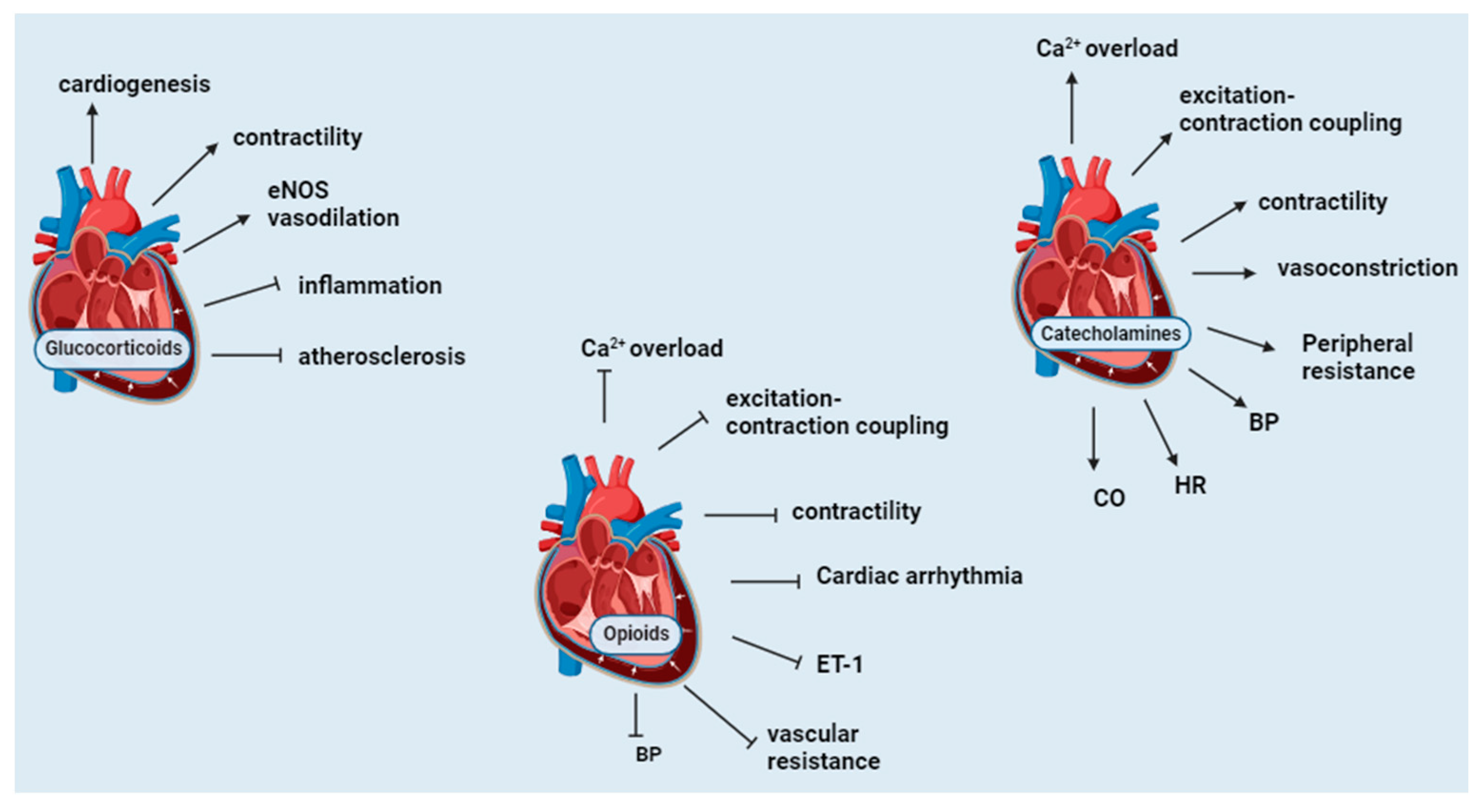 Biomedicines 12 00314 g004