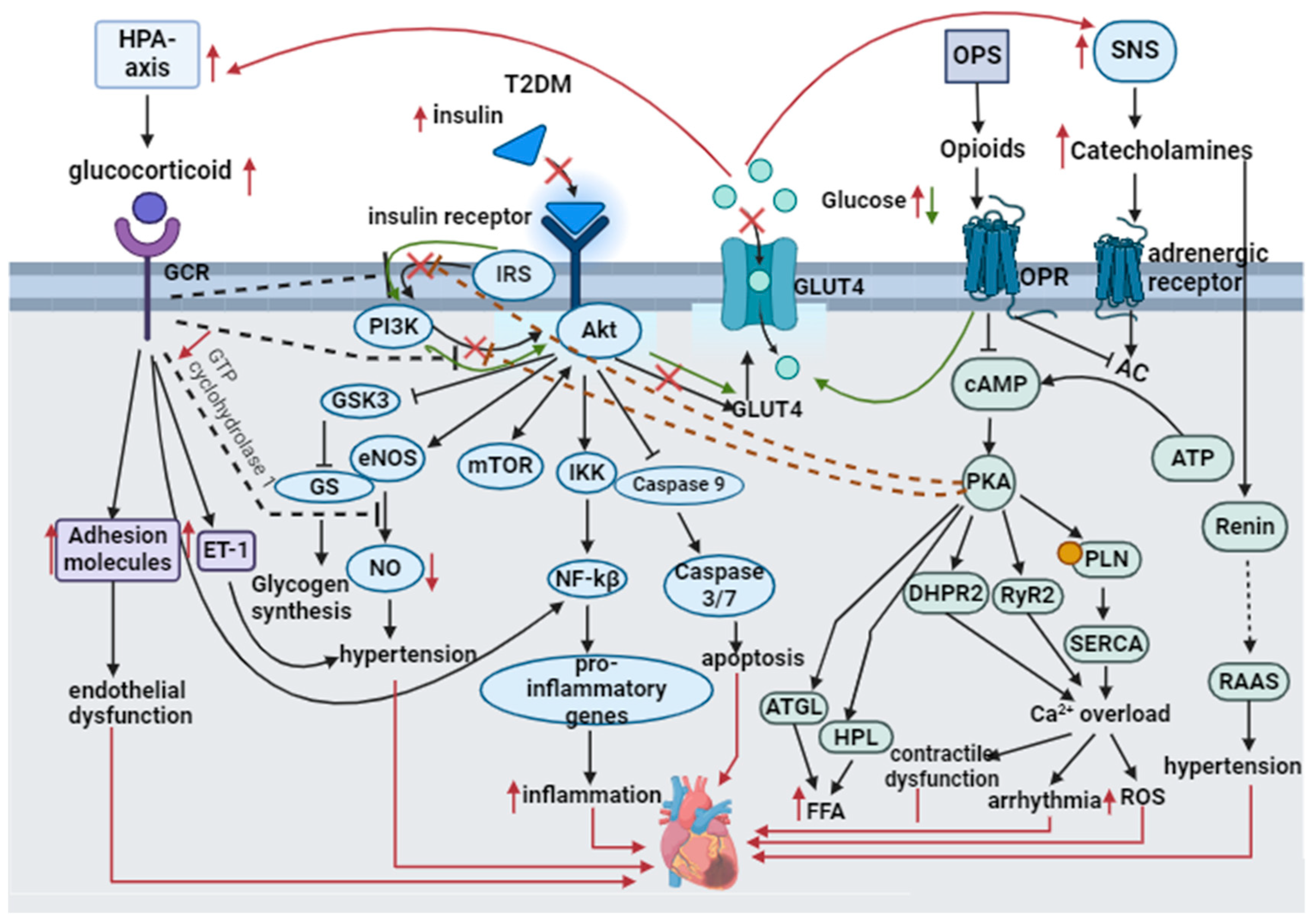 Biomedicines 12 00314 g005