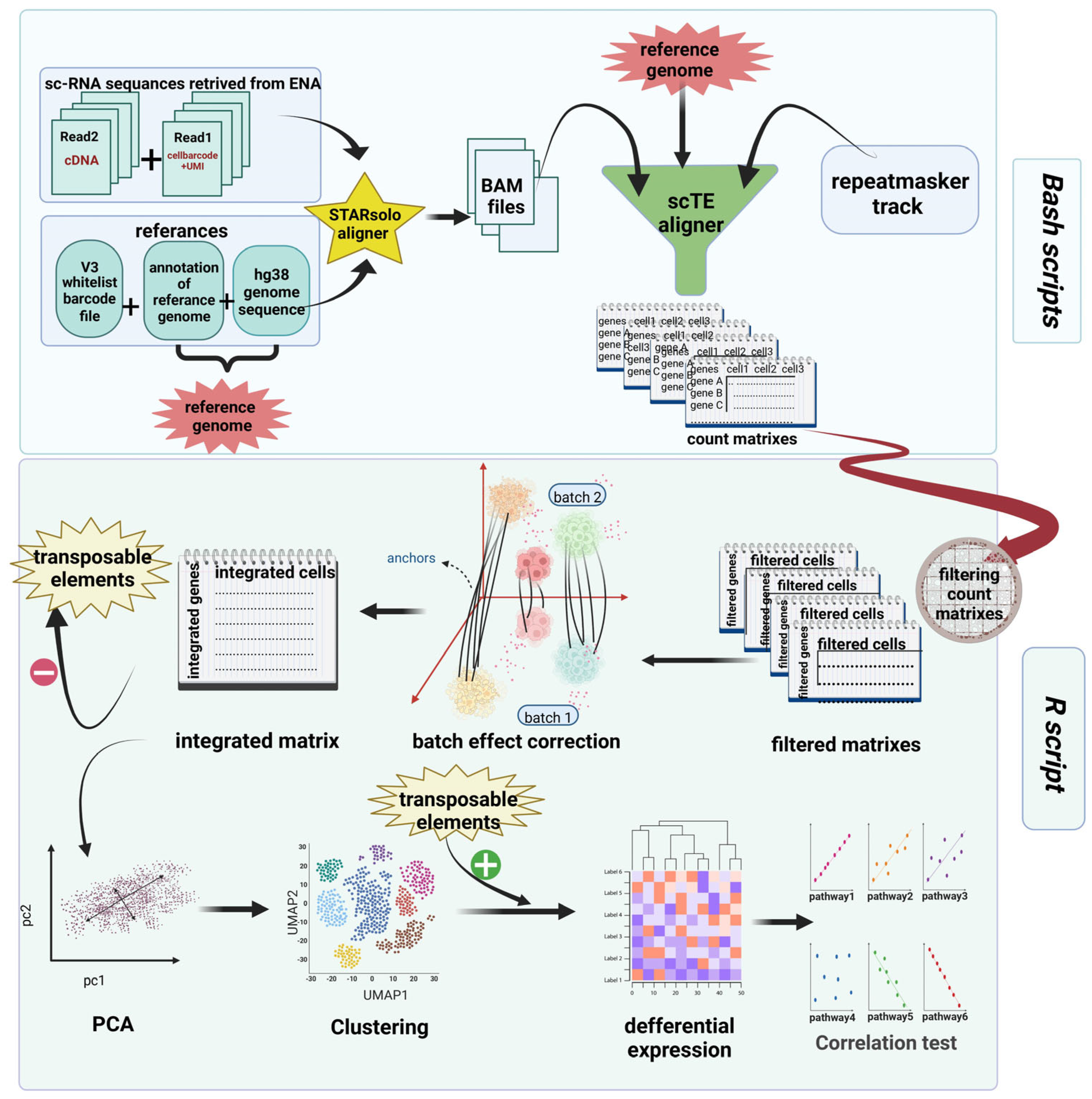 Biomedicines 12 00315 g001