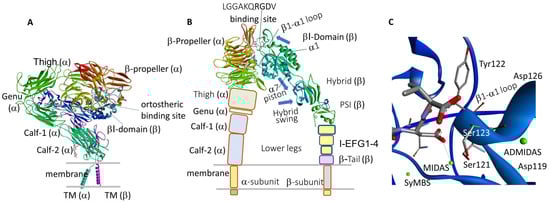 Biomedicines 12 00316 g001