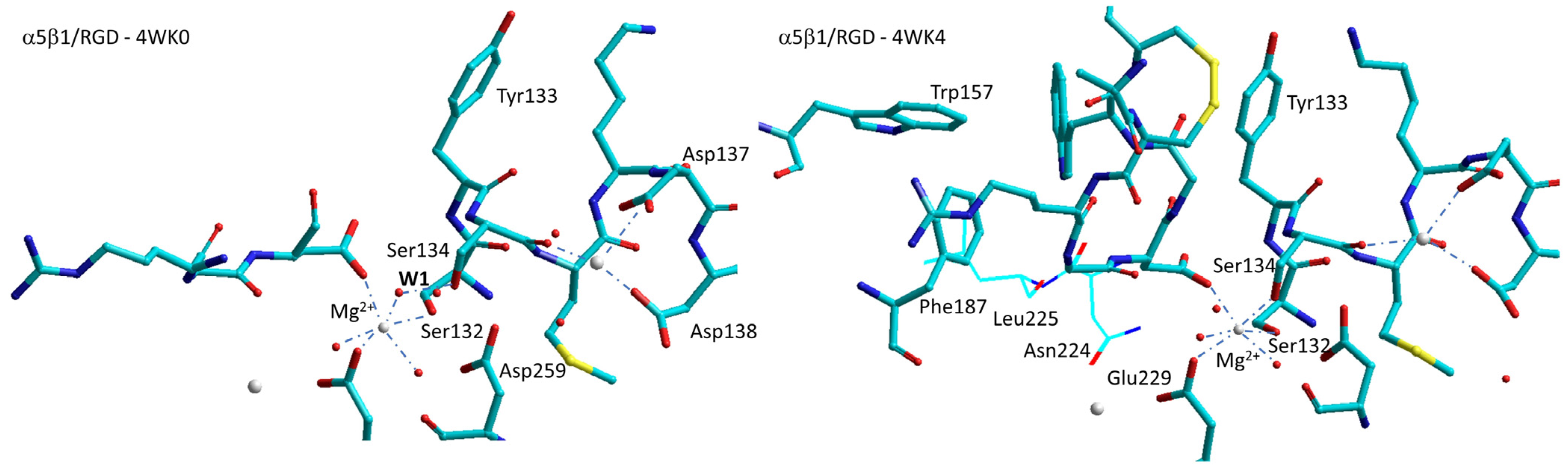 Biomedicines 12 00316 g008