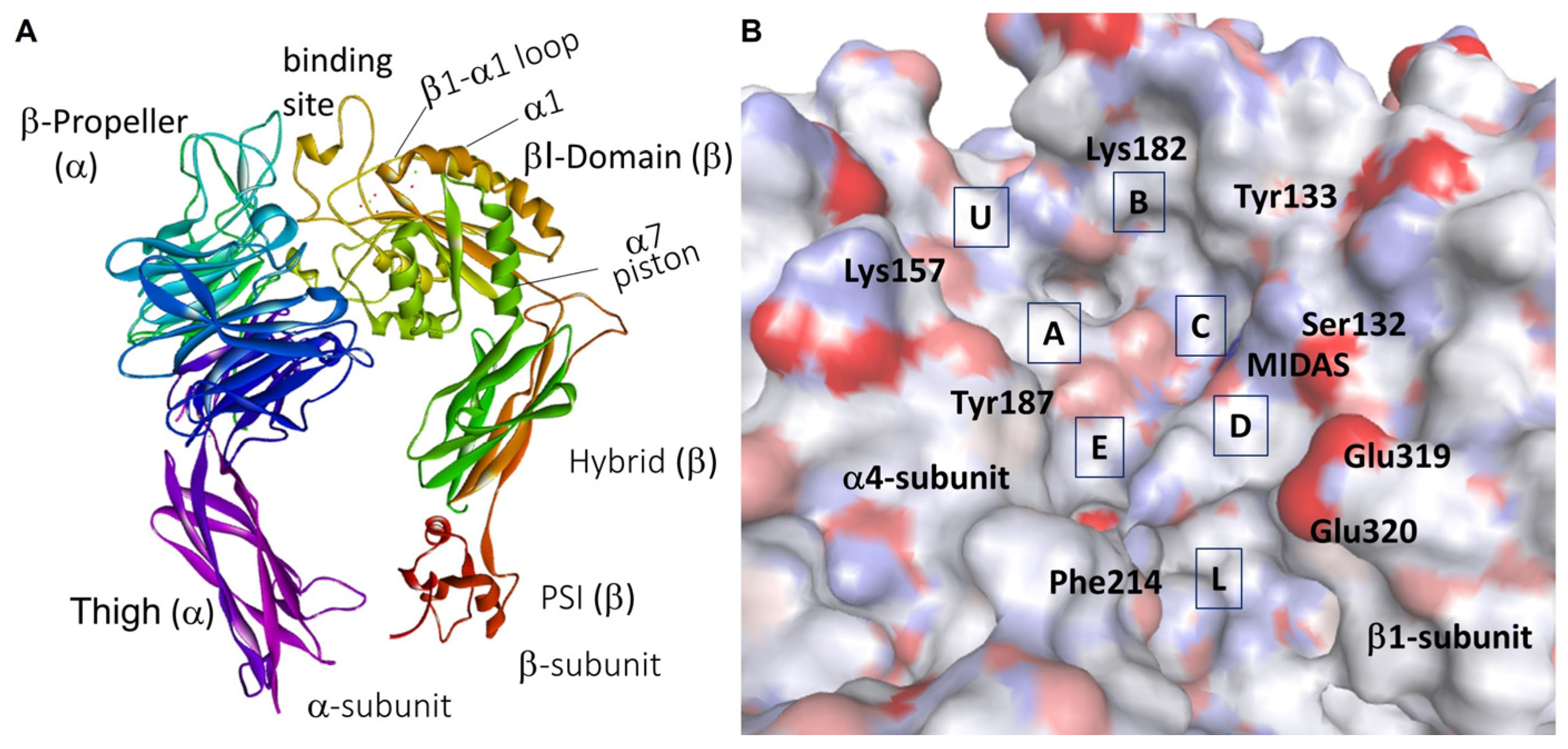 Biomedicines 12 00316 g010