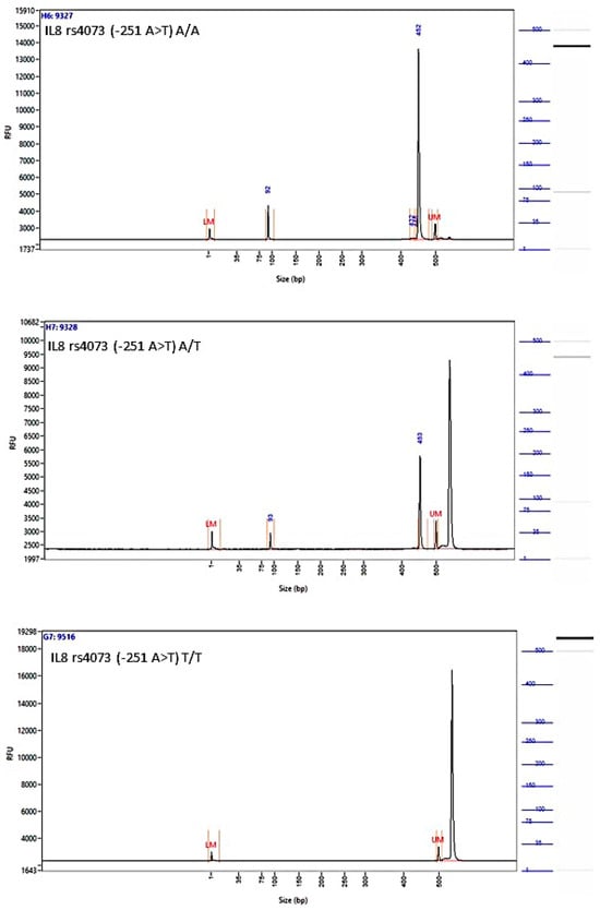 Biomedicines 12 00321 g0a2