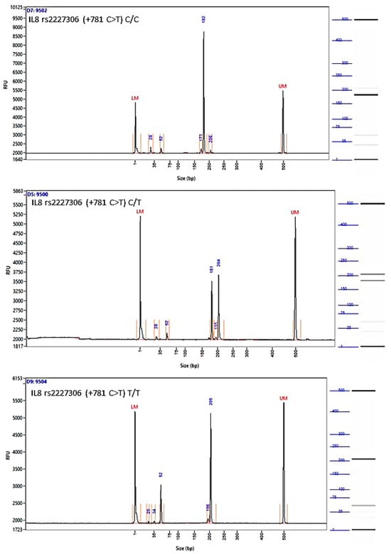 Biomedicines 12 00321 g0a3