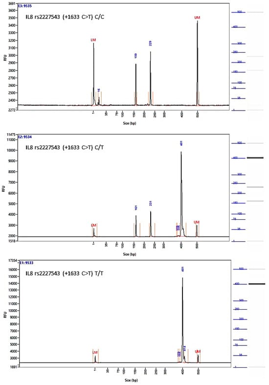 Biomedicines 12 00321 g0a4