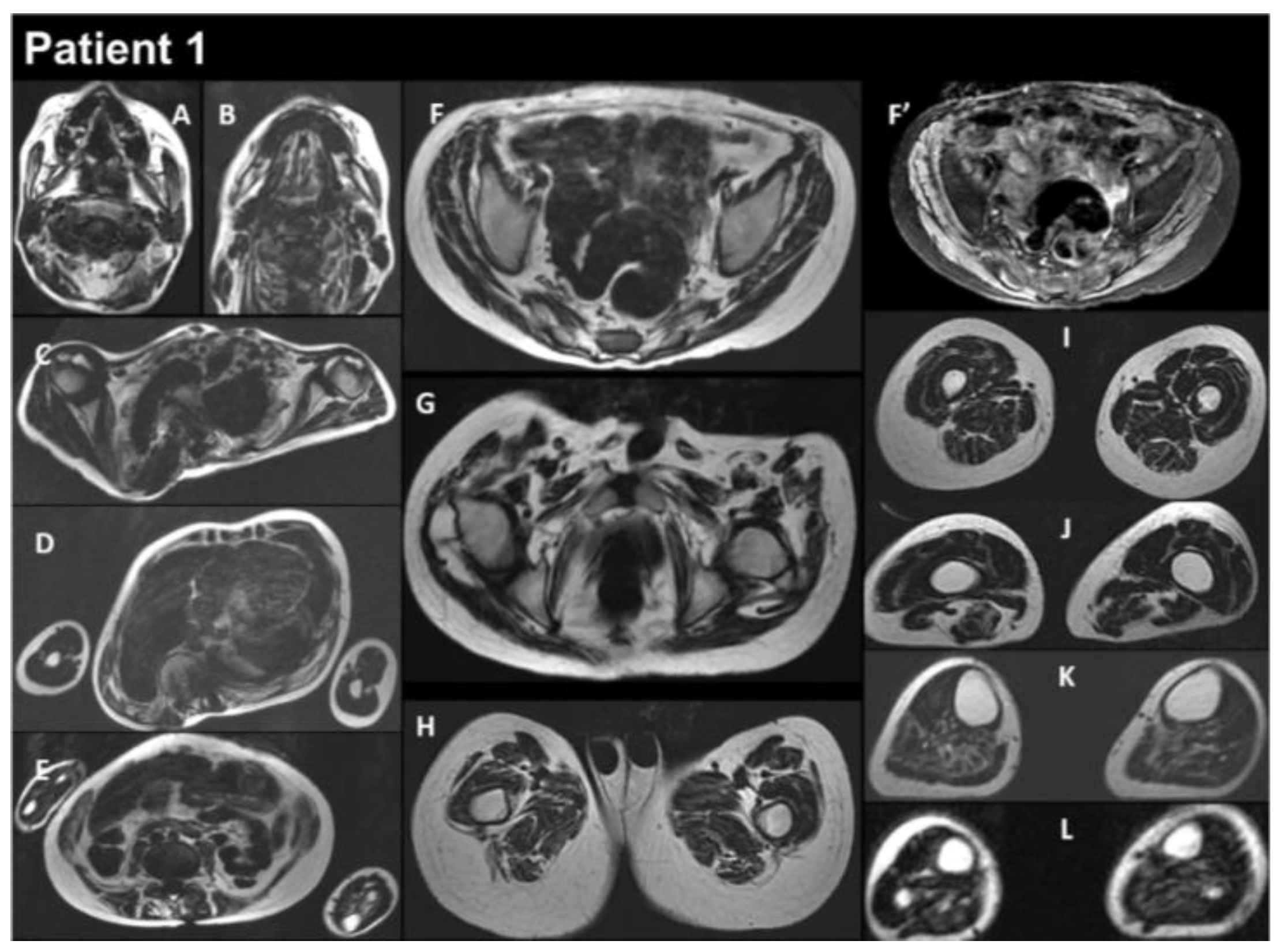 Biomedicines 12 00322 g002