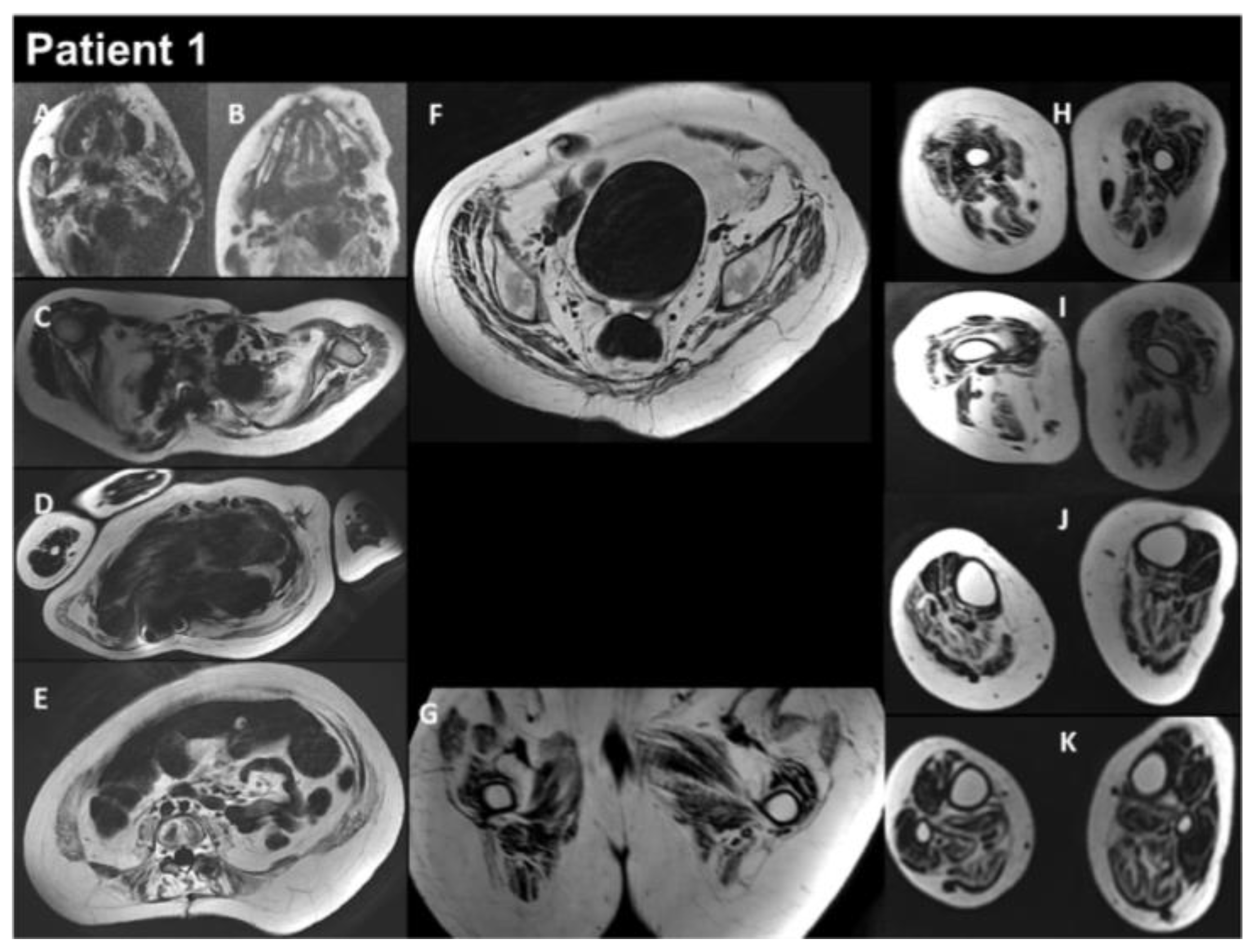 Biomedicines 12 00322 g003