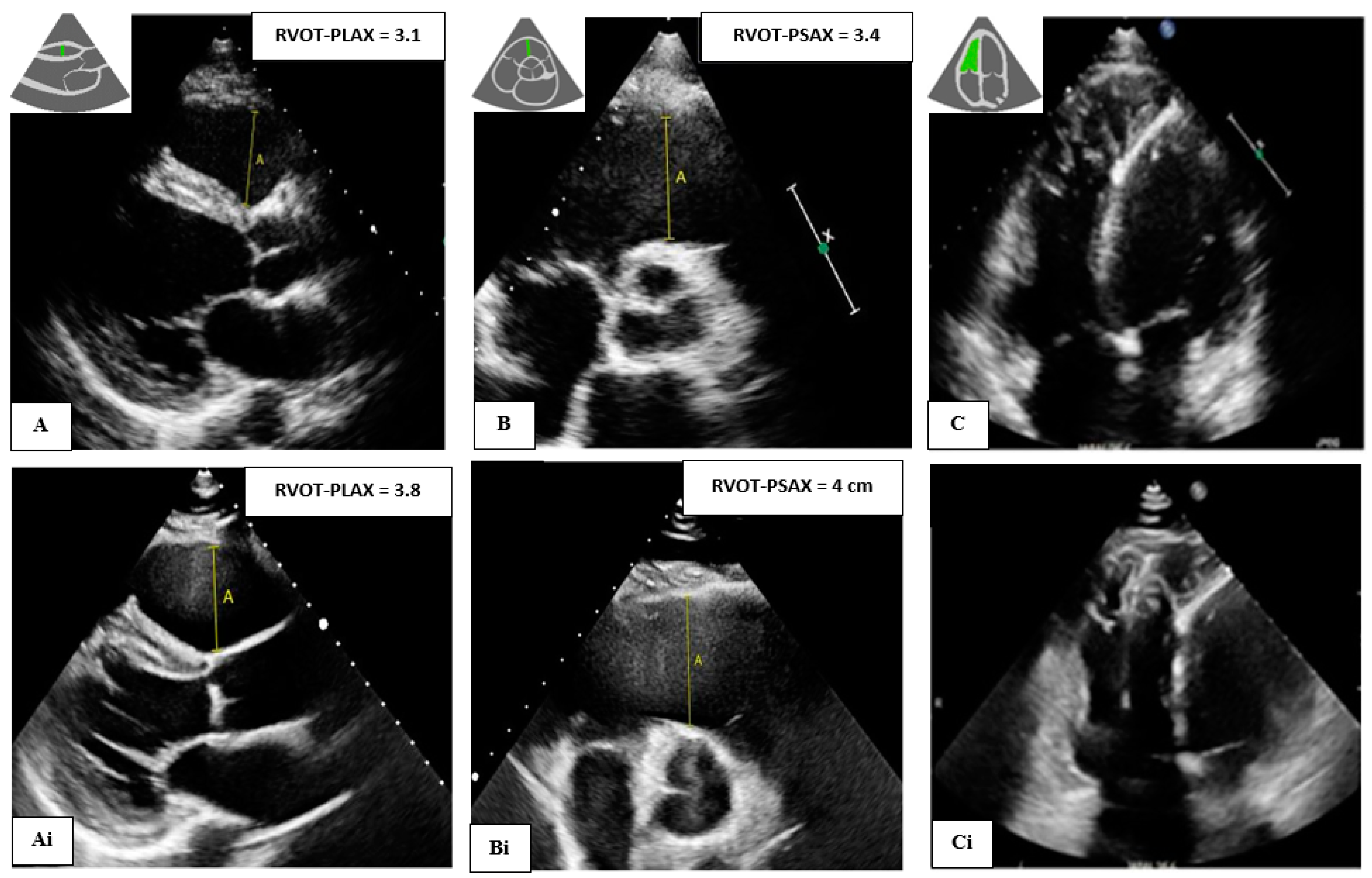 Biomedicines 12 00328 g001