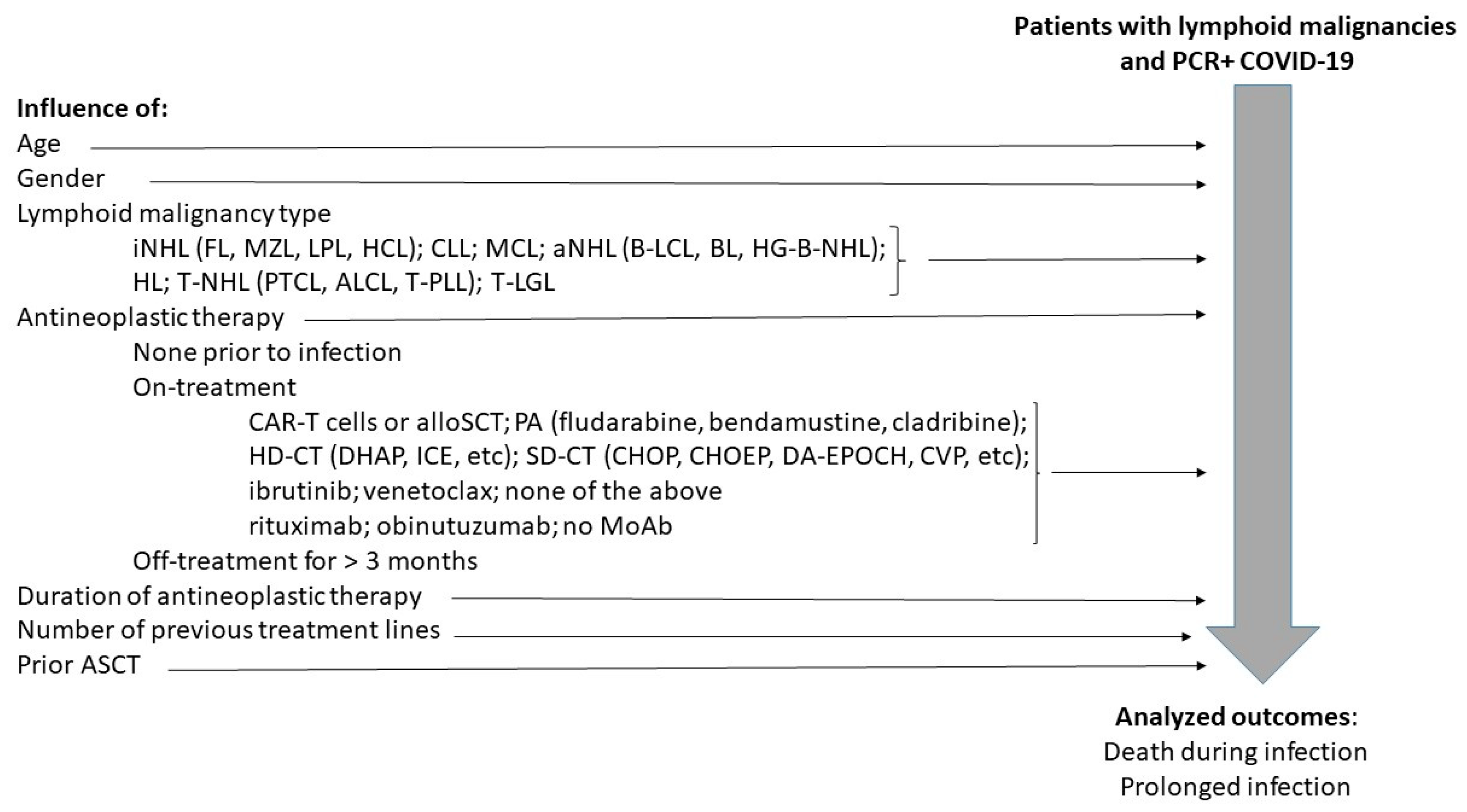 Biomedicines 12 00331 g001