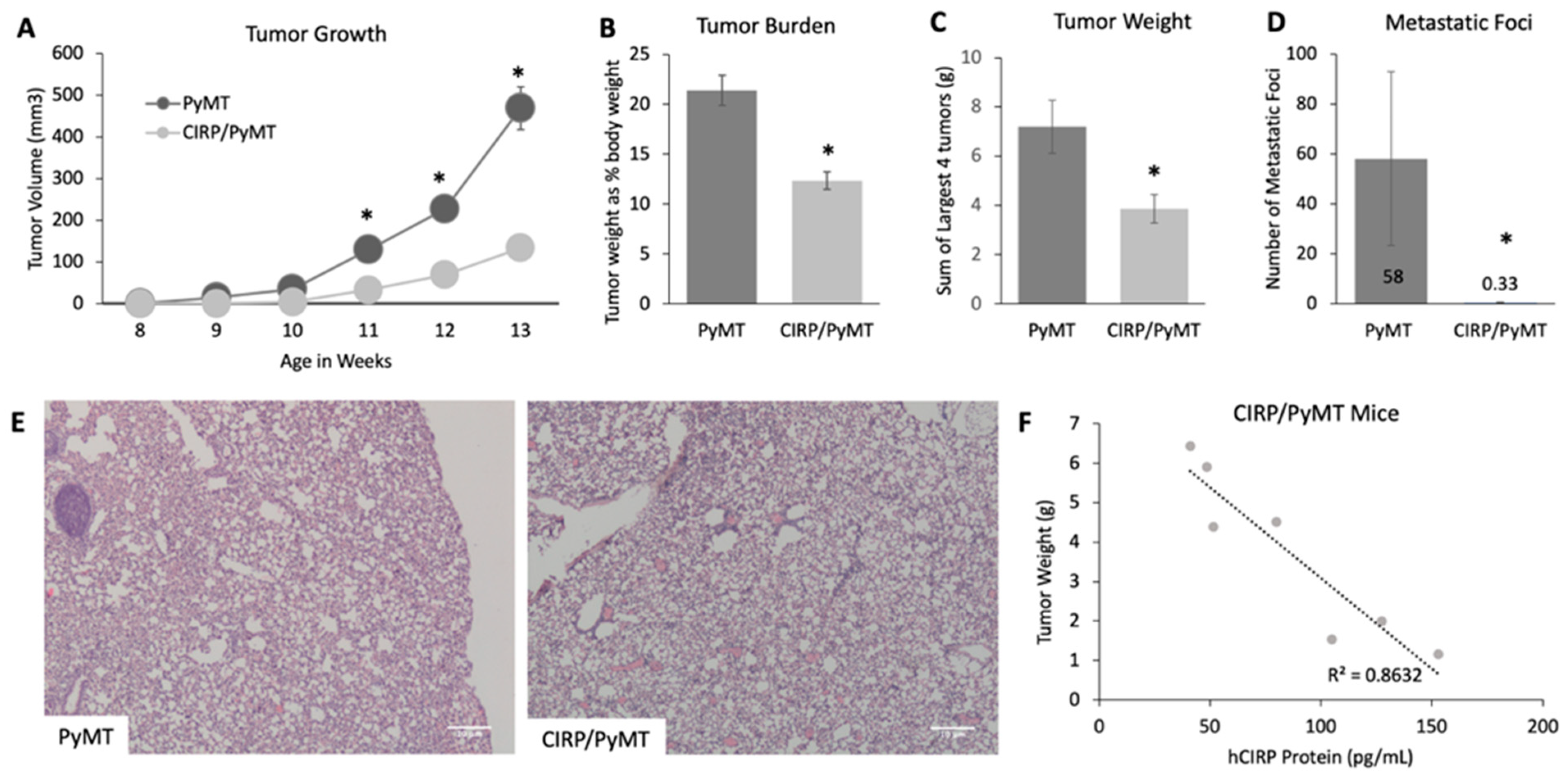 Biomedicines 12 00340 g002
