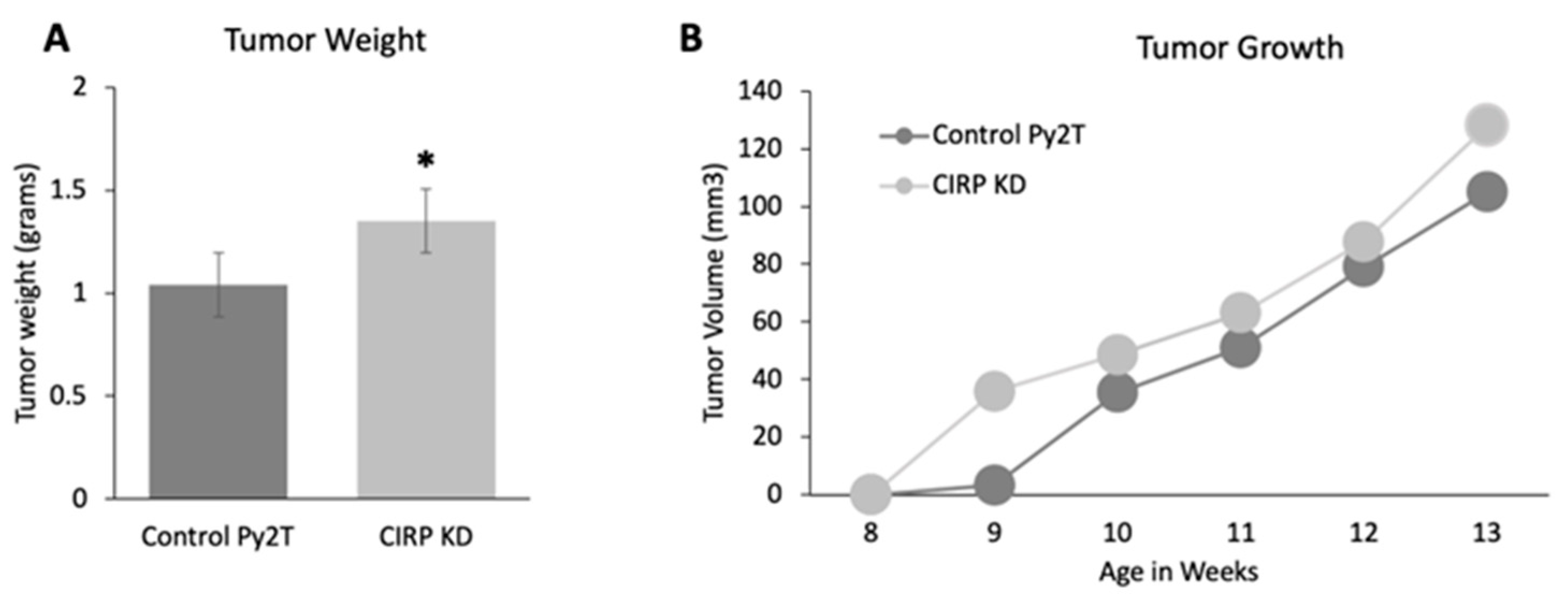 Biomedicines 12 00340 g003
