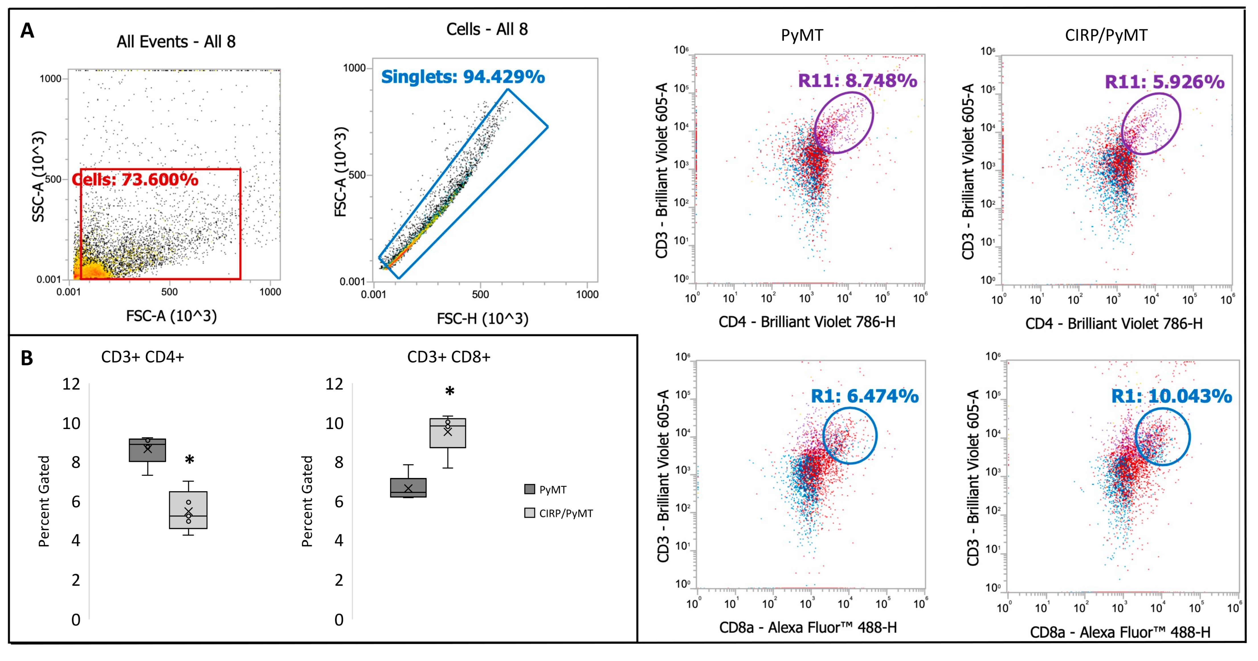 Biomedicines 12 00340 g006