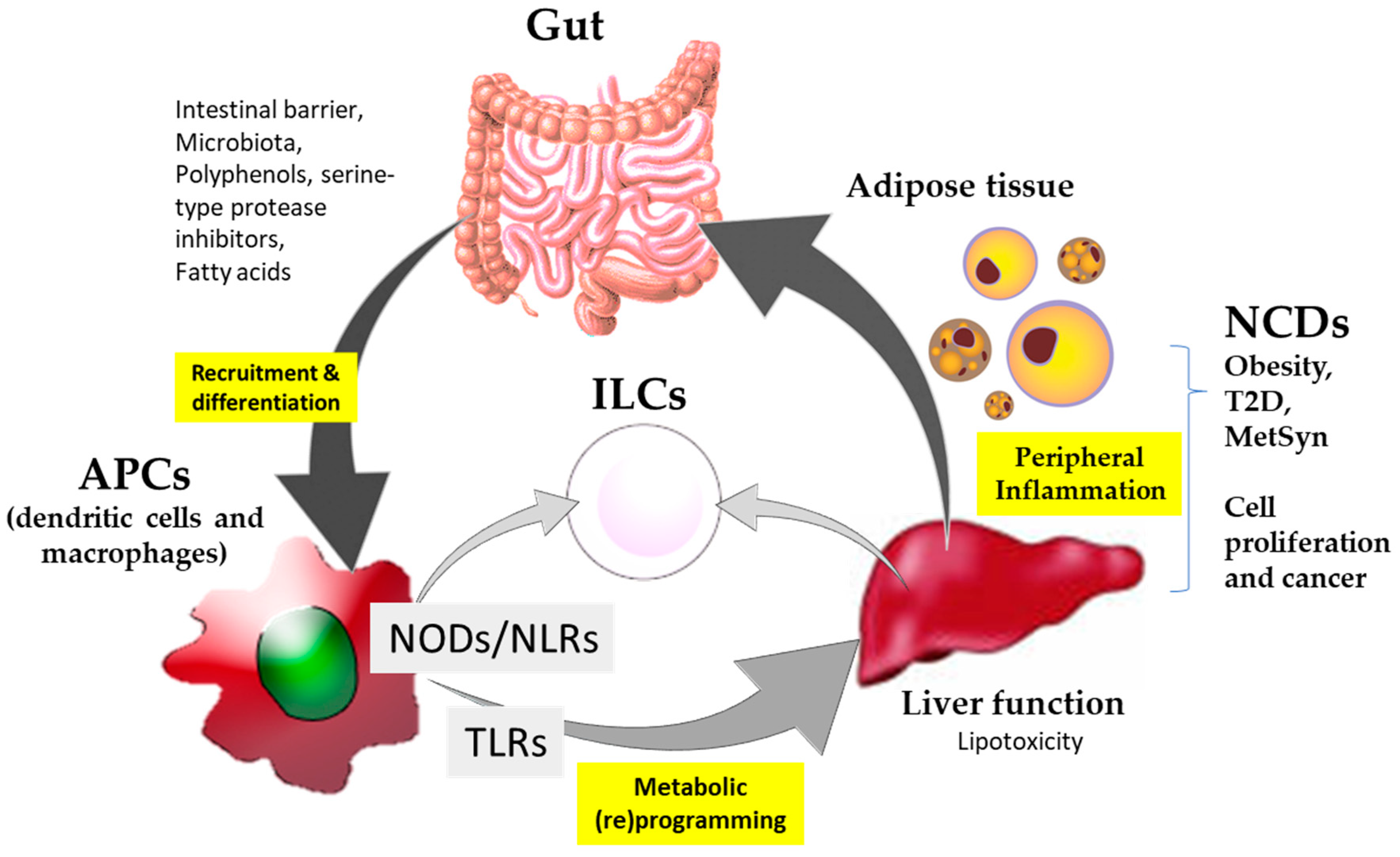 Biomedicines 12 00341 g001