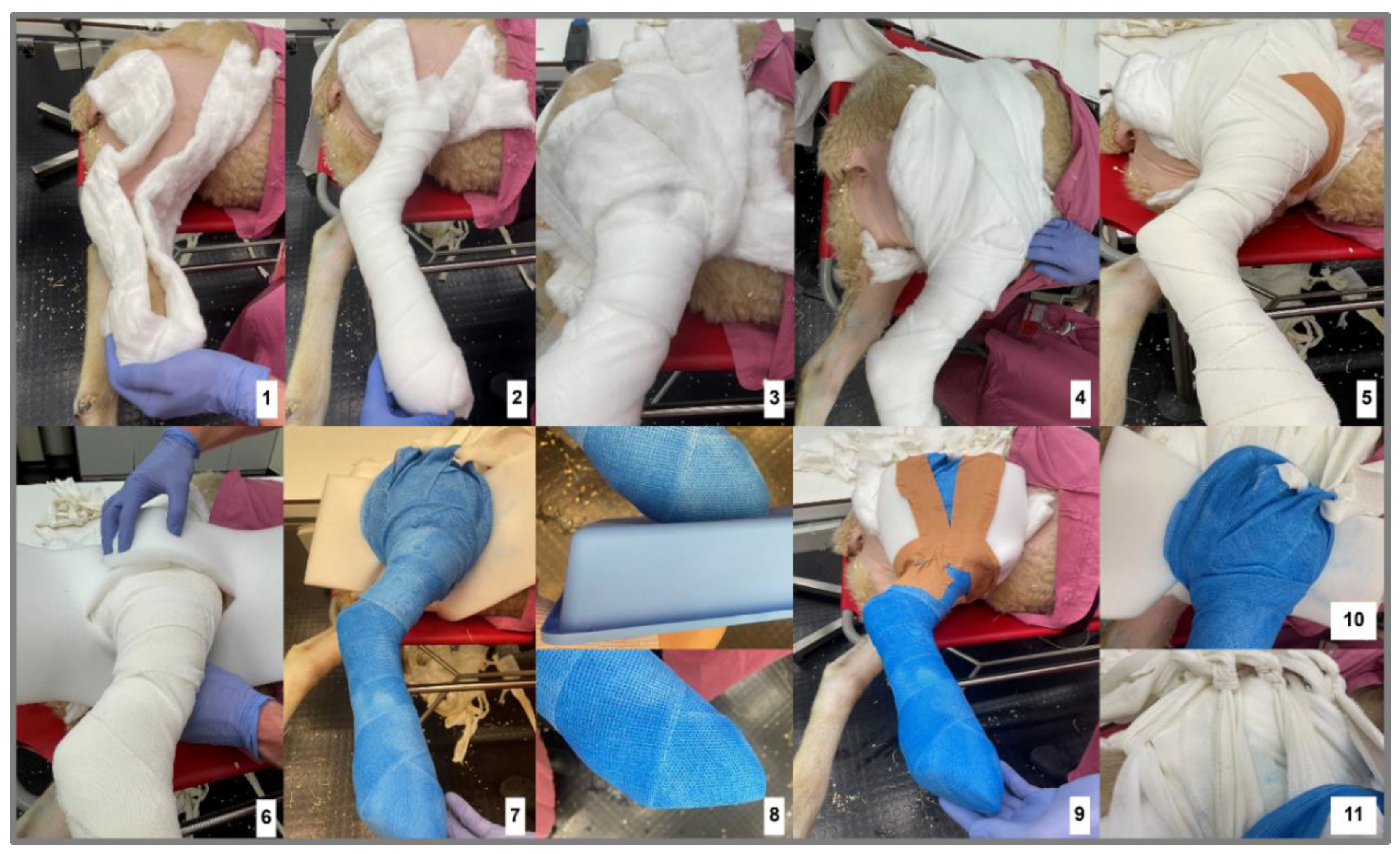 Refinement in Post-Operative Care for Orthopaedic Models: Implementing ...