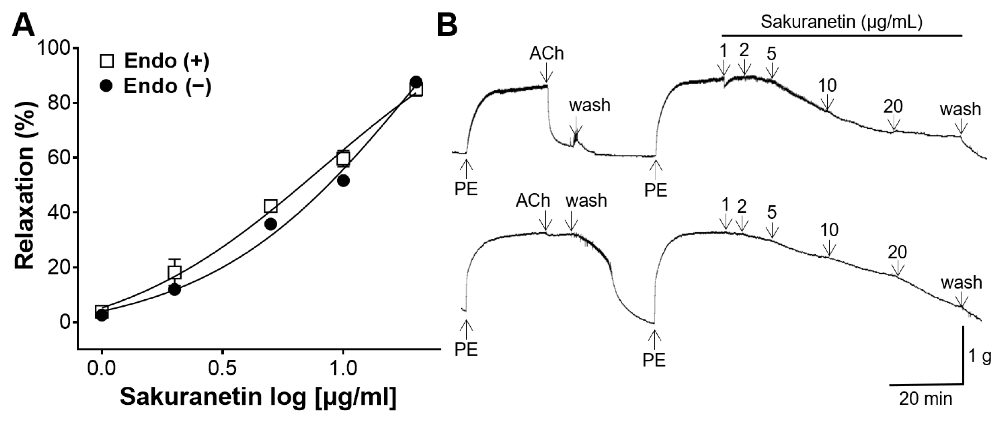 Biomedicines 12 00346 g003